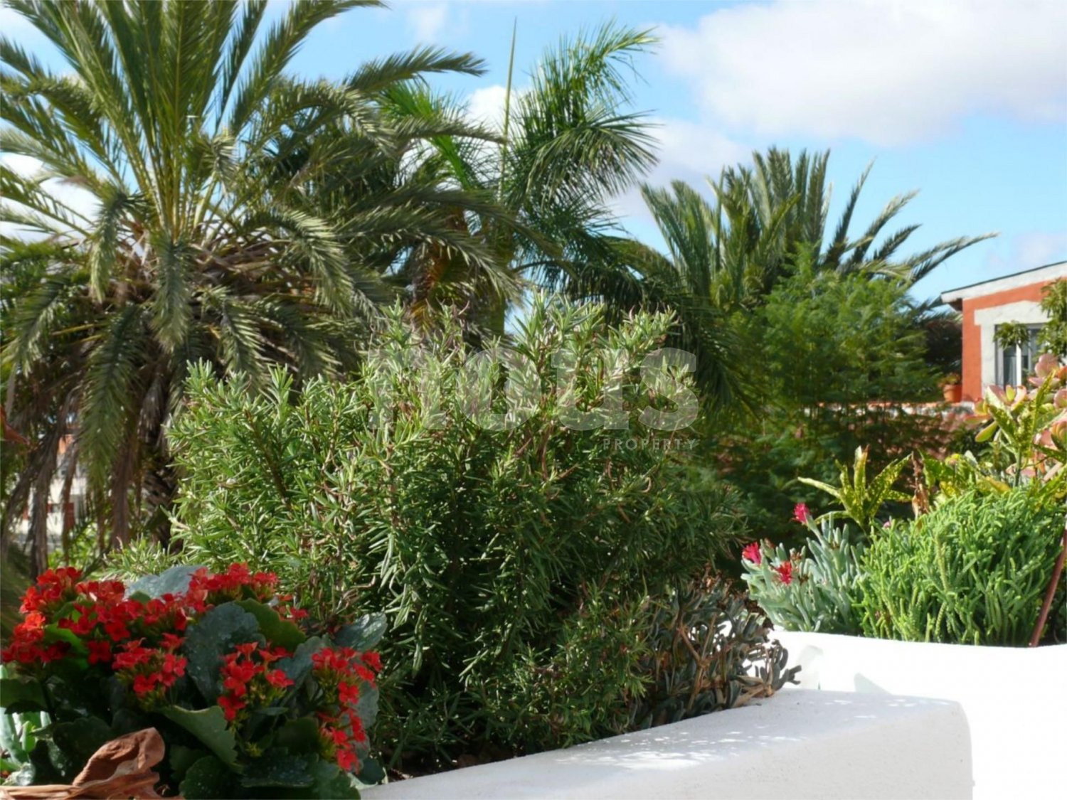 Villa en Buzanada, Tenerife, España 4 dormitorios, 160 m2 No. 102971