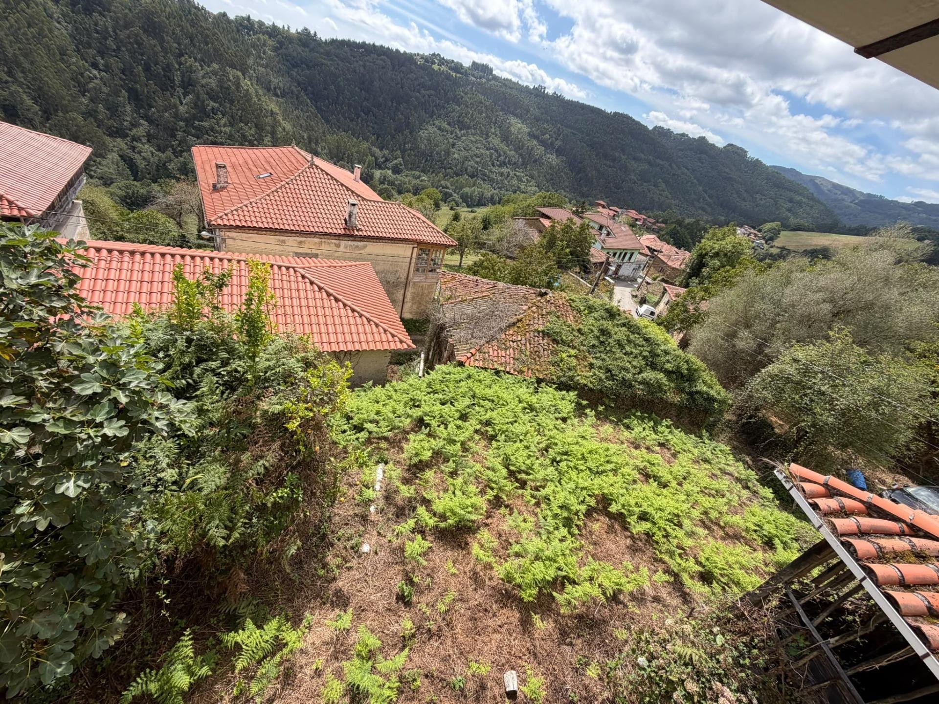 Dom w Salas, Asturias, Hiszpania 5 sypialni,  nr 196292