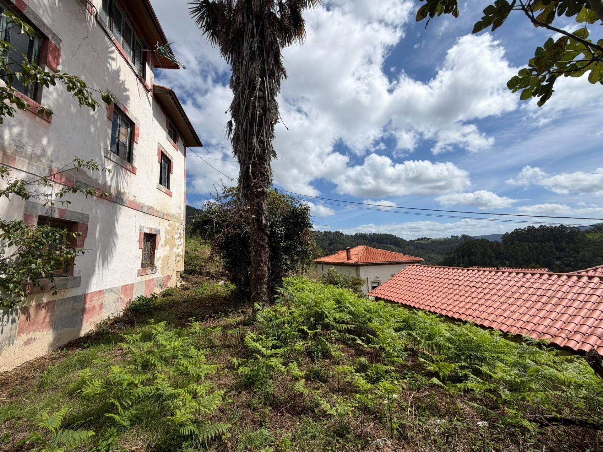 Dom w Salas, Asturias, Hiszpania 5 sypialni,  nr 196292
