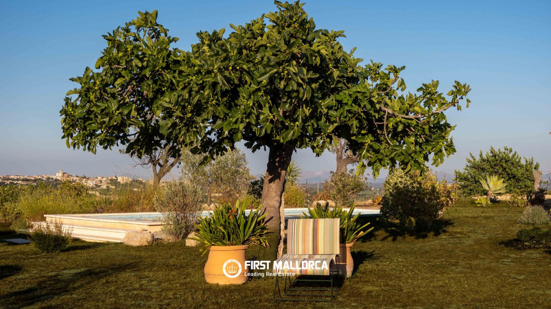Finca Moscari, Mallorca, Spānijā 3 istabas, 166 m2 Nr. 181781