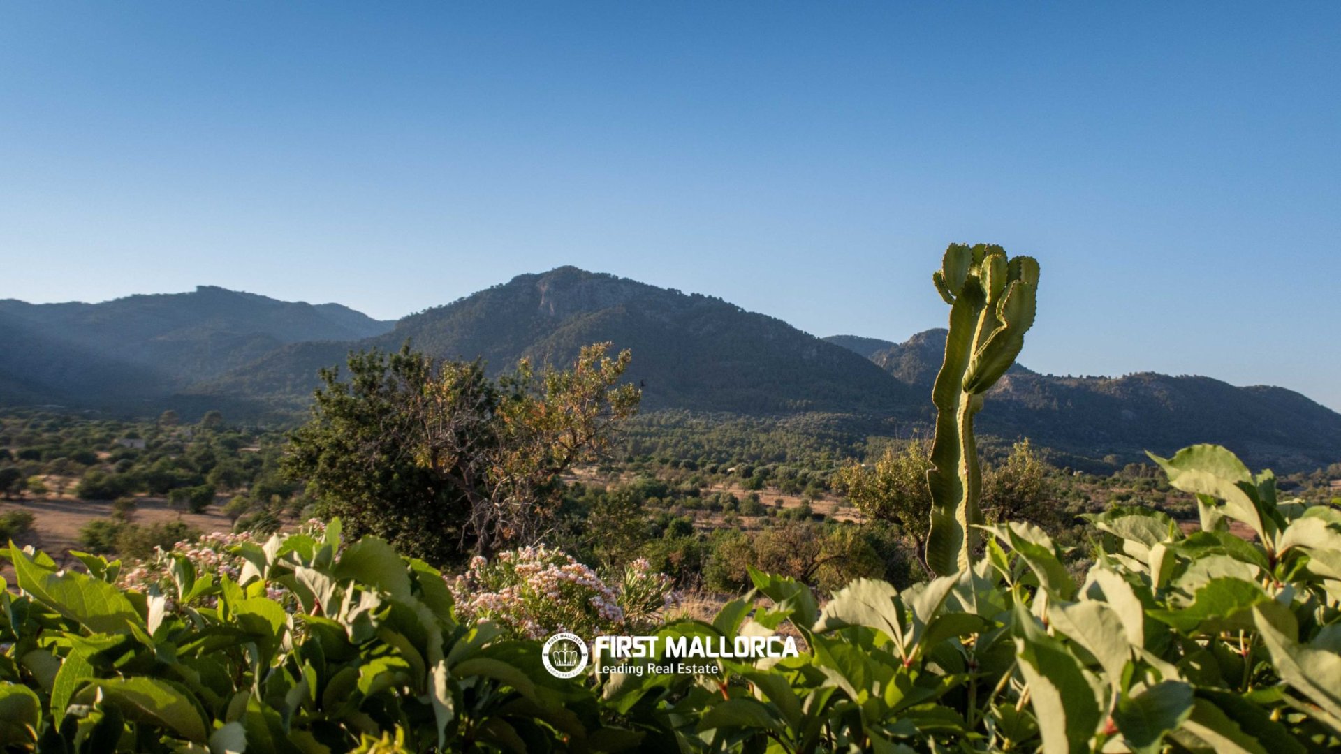 Finca Moscari, Mallorca, Spānijā 3 istabas, 166 m2 Nr. 181781