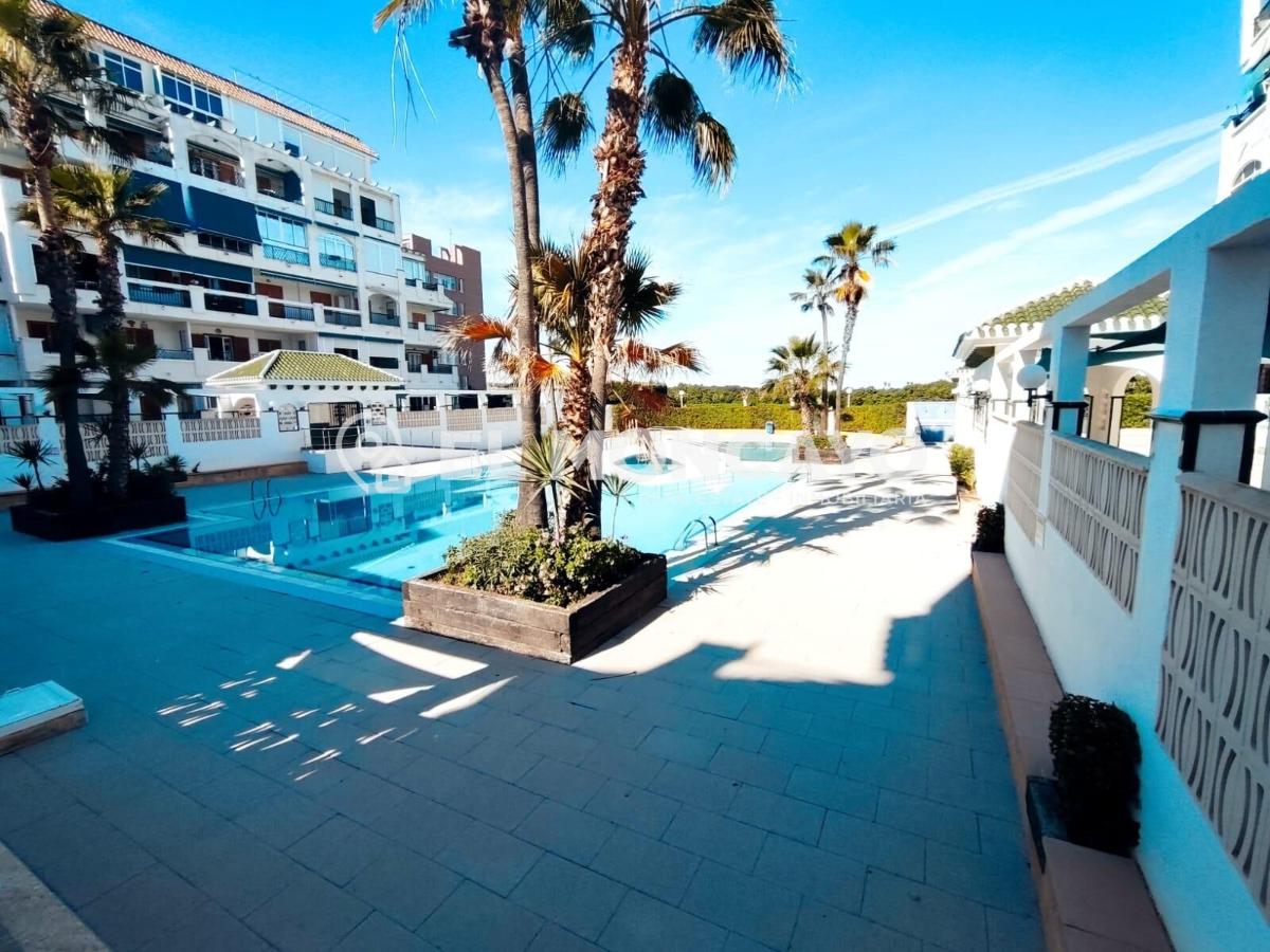 Apartment à Torrevieja, Alicante, Espagne 2 chambres, 51 m2 No. 183791