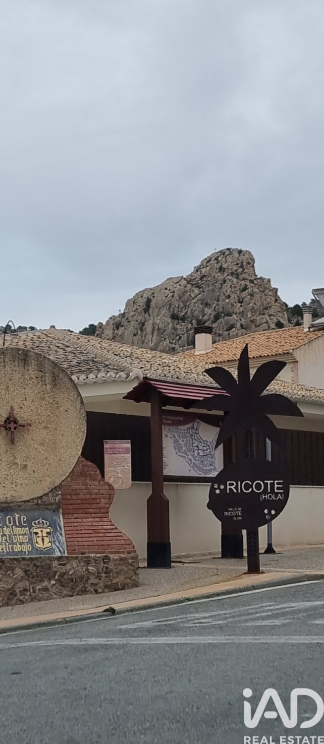 Land in Ricote, Murcia, Spanien 300 m2 Nr. 185252