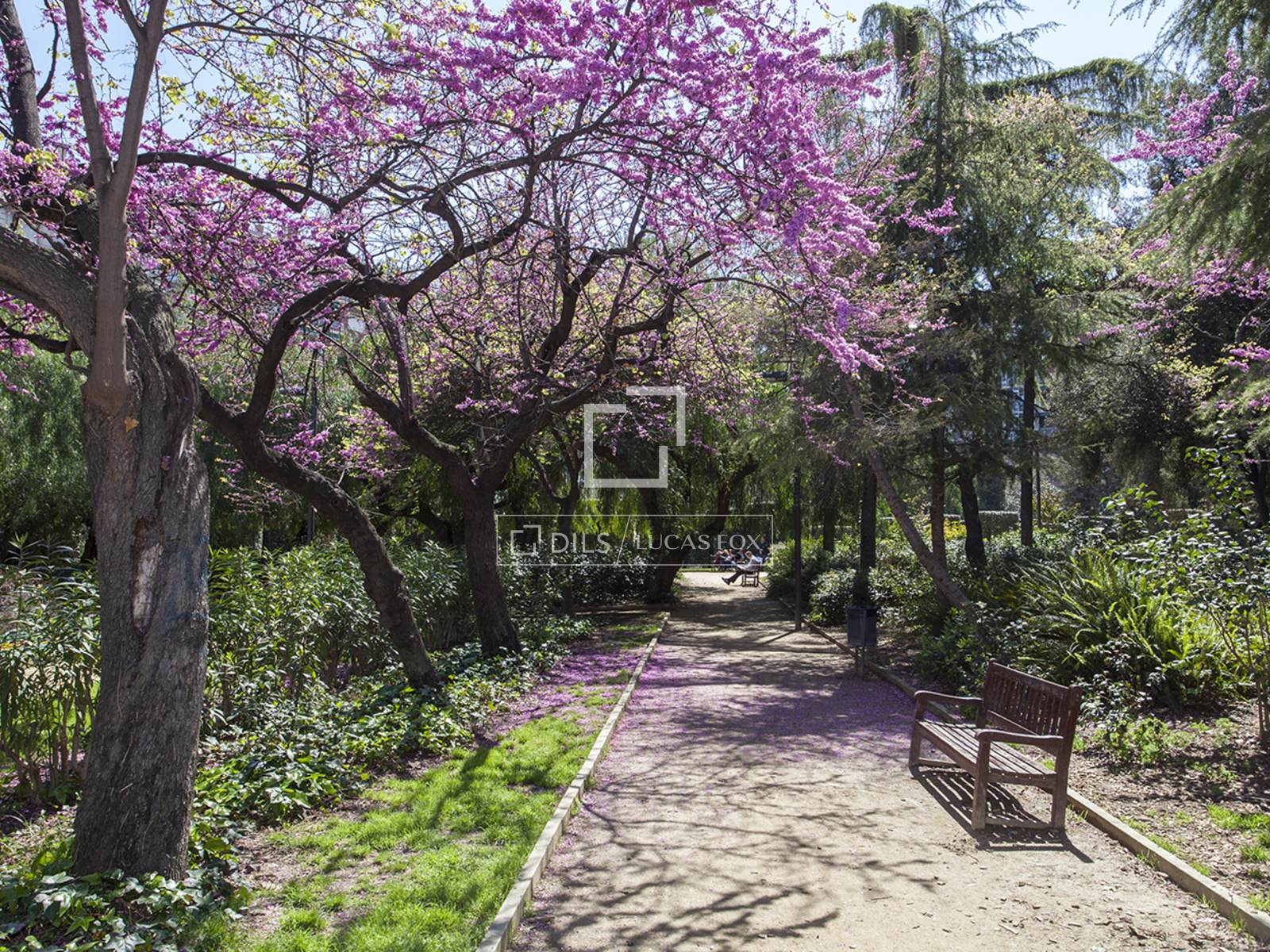 Wohnung in Barcelona, Spanien 5 Schlafzimmer, 390 m2 Nr. 150790