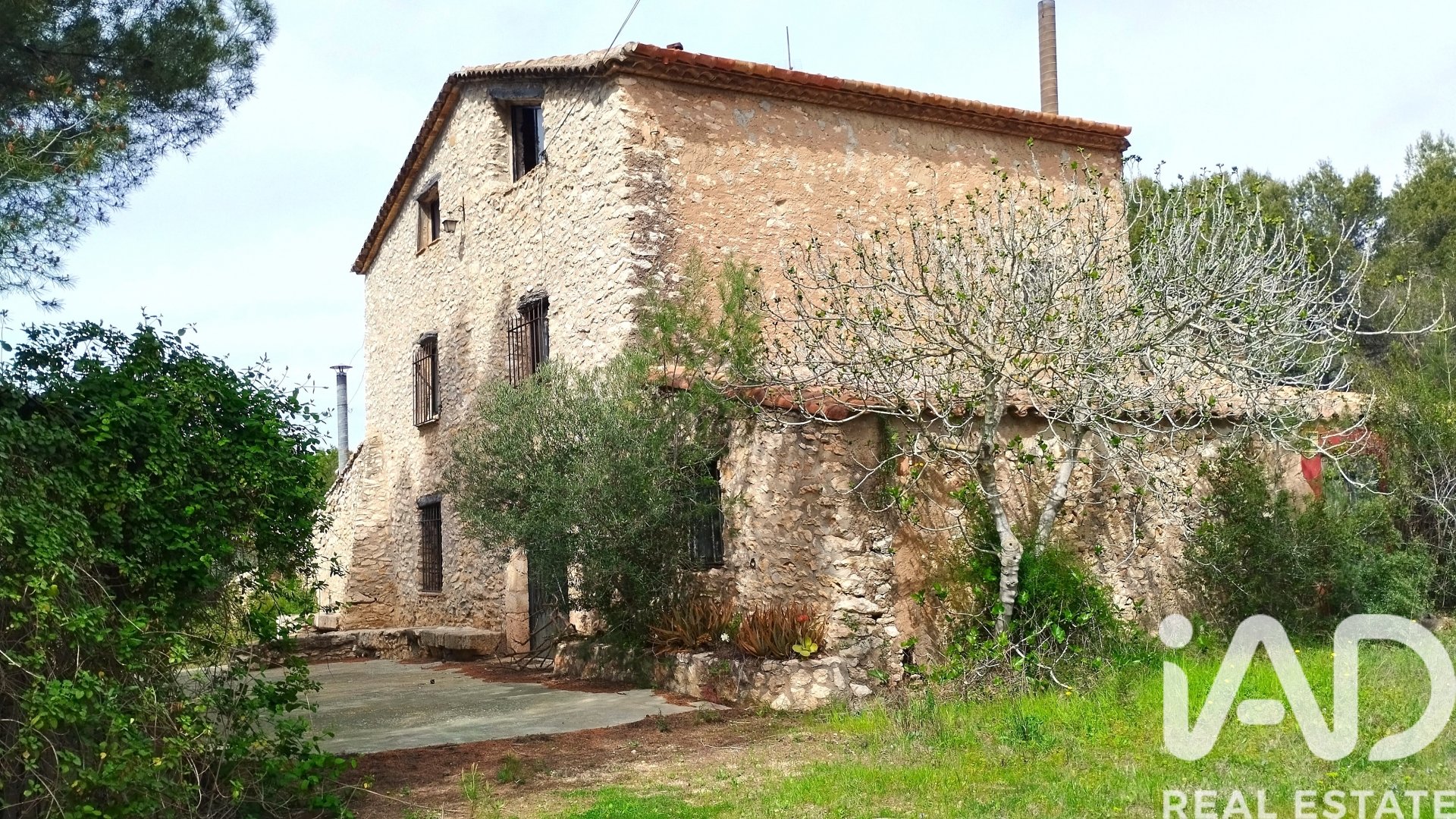 Land plot in El Catllar, Tarragona, Spain 40000 sq.m. No. 172712