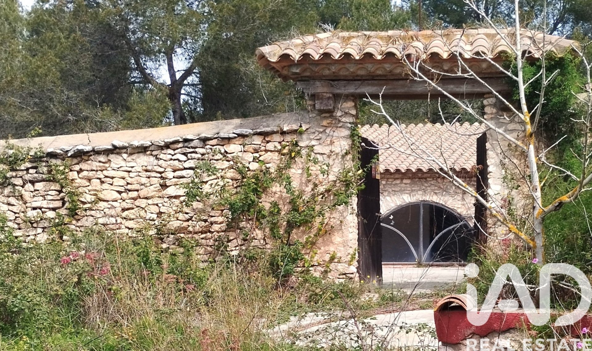 Land plot in El Catllar, Tarragona, Spain 40000 sq.m. No. 172712
