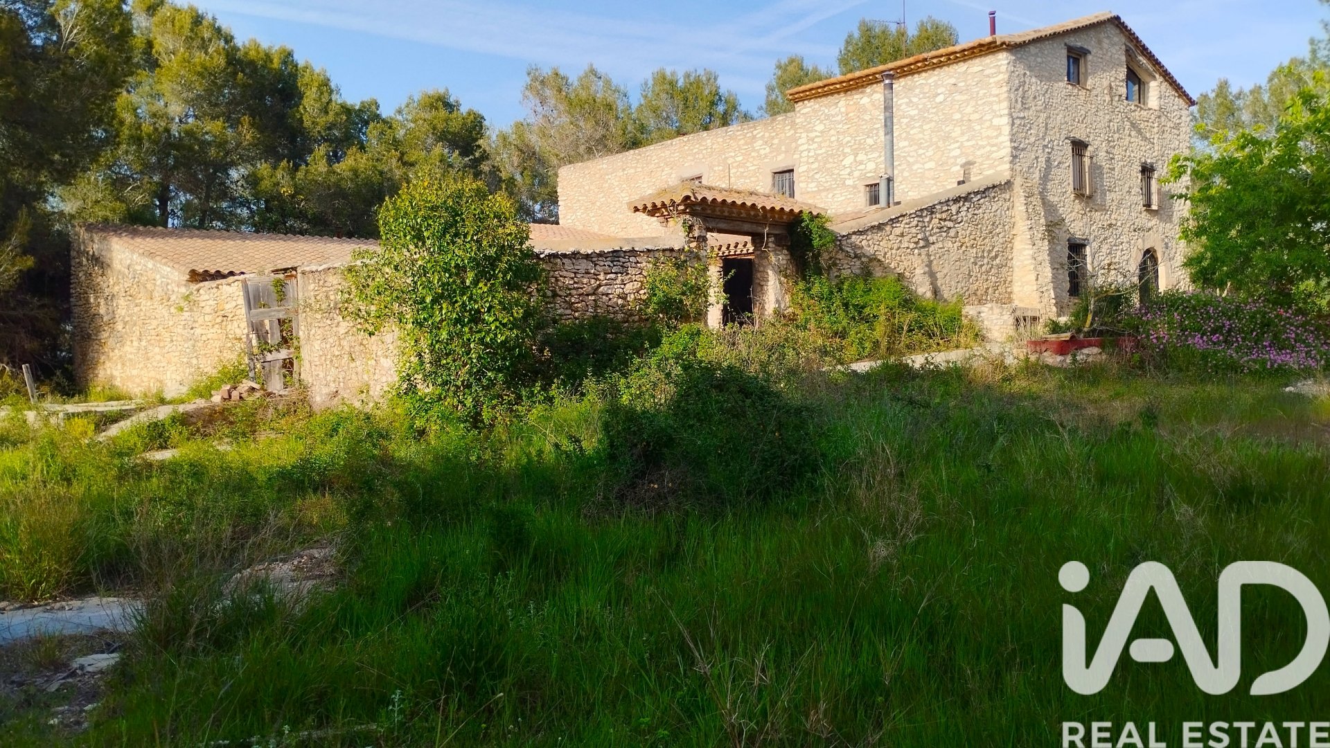 Land plot in El Catllar, Tarragona, Spain 40000 sq.m. No. 172712