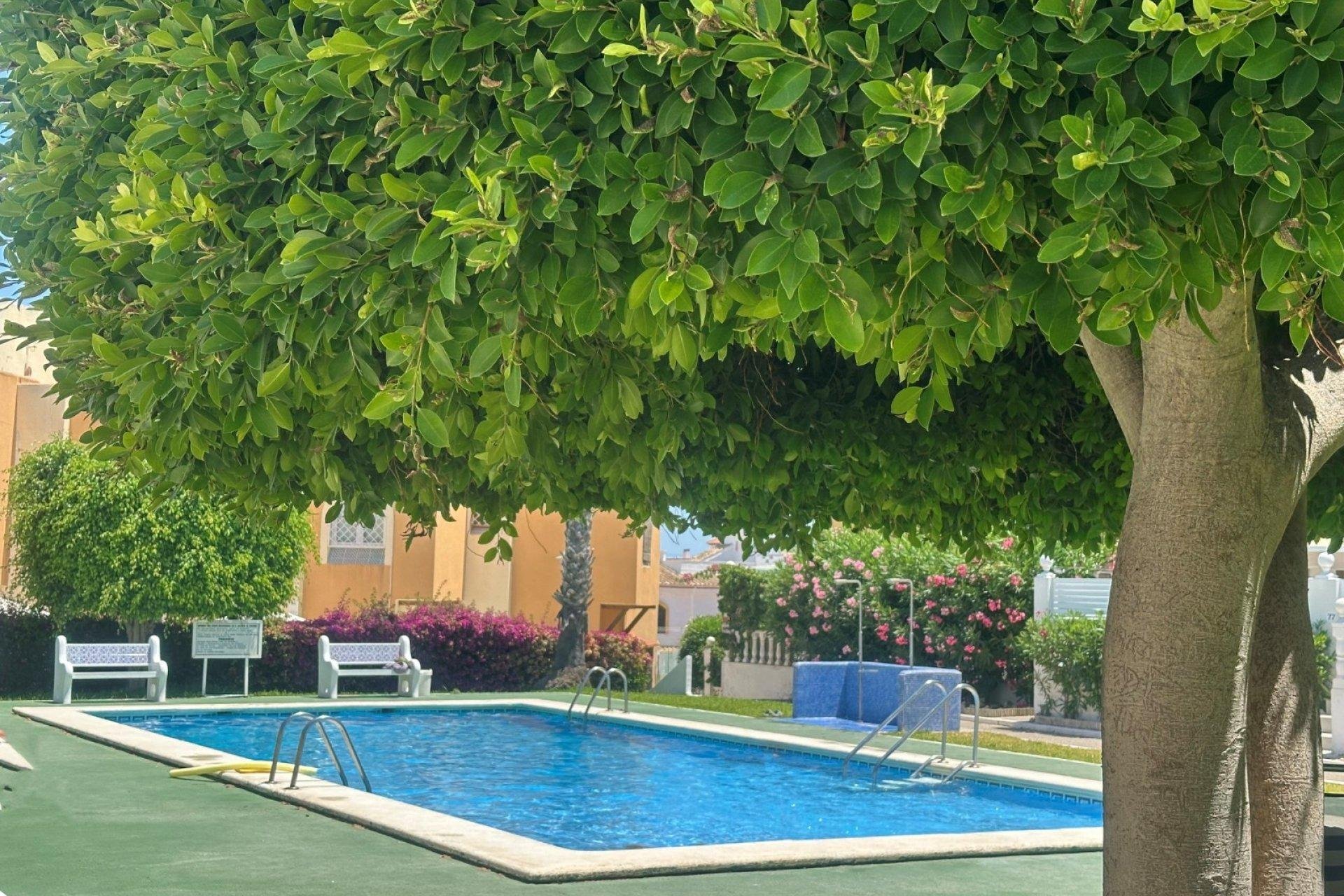Bungalow in Torrevieja, Alicante, Spain 1 bedroom, 45 sq.m. No. 190578