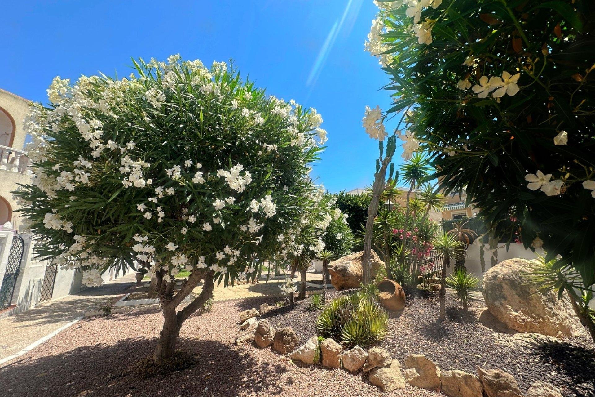 Bungalow in Torrevieja, Alicante, Spain 1 bedroom, 45 sq.m. No. 190578