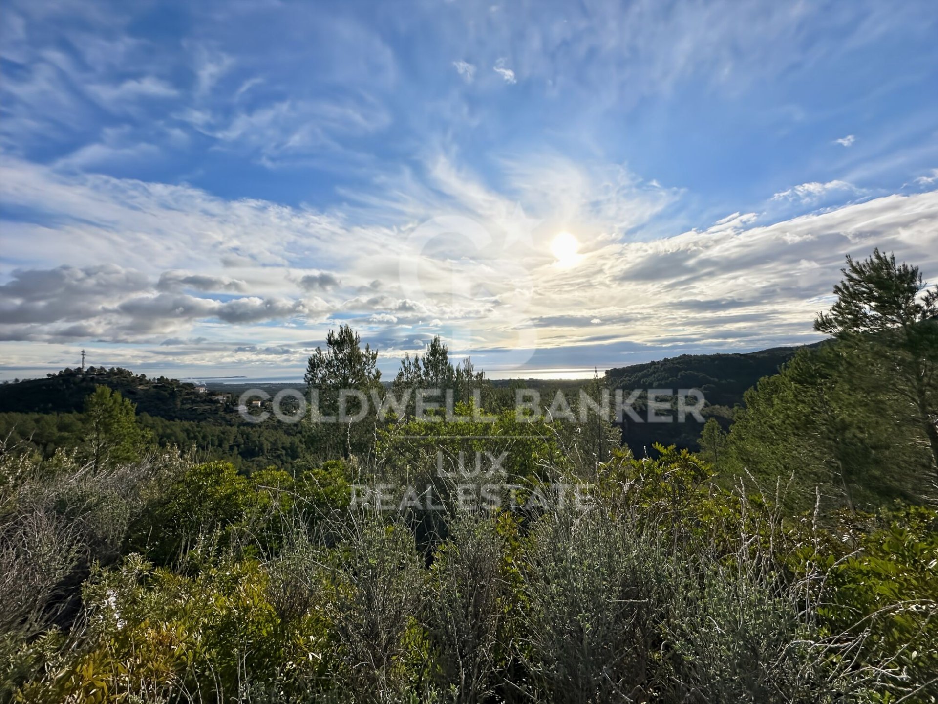 Land plot in Pratdip, Tarragona, Spain 279167 sq.m. No. 157739