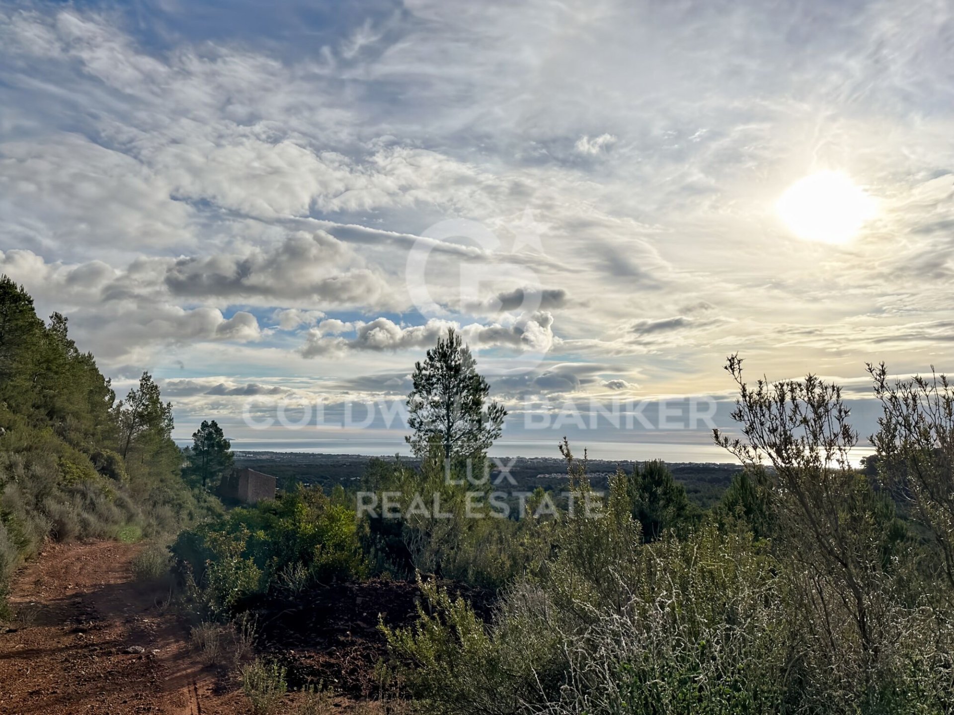 Land plot in Pratdip, Tarragona, Spain 279167 sq.m. No. 157739