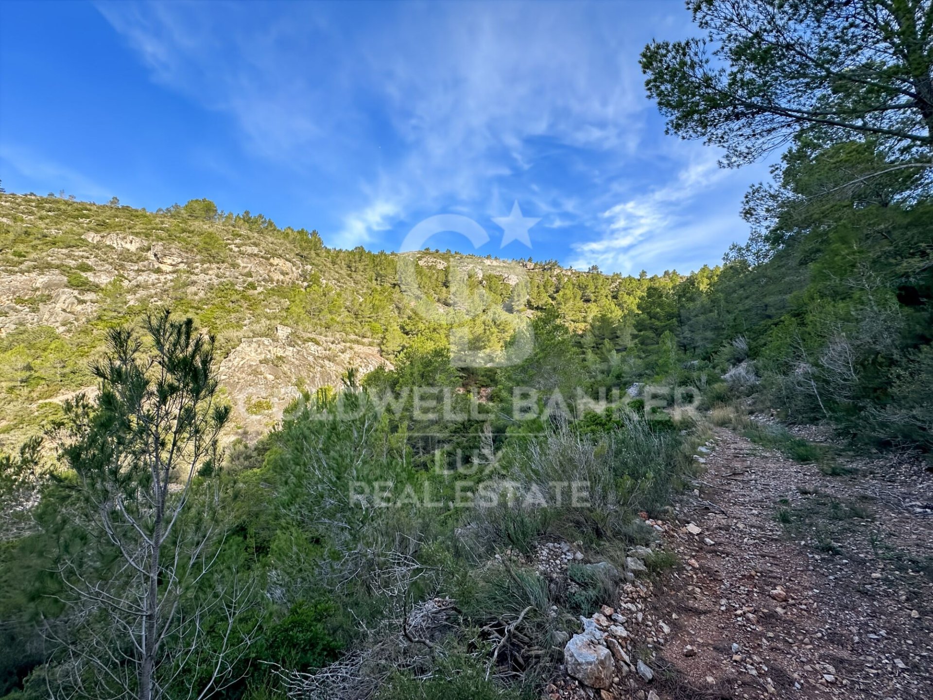 Land plot in Pratdip, Tarragona, Spain 279167 sq.m. No. 157739