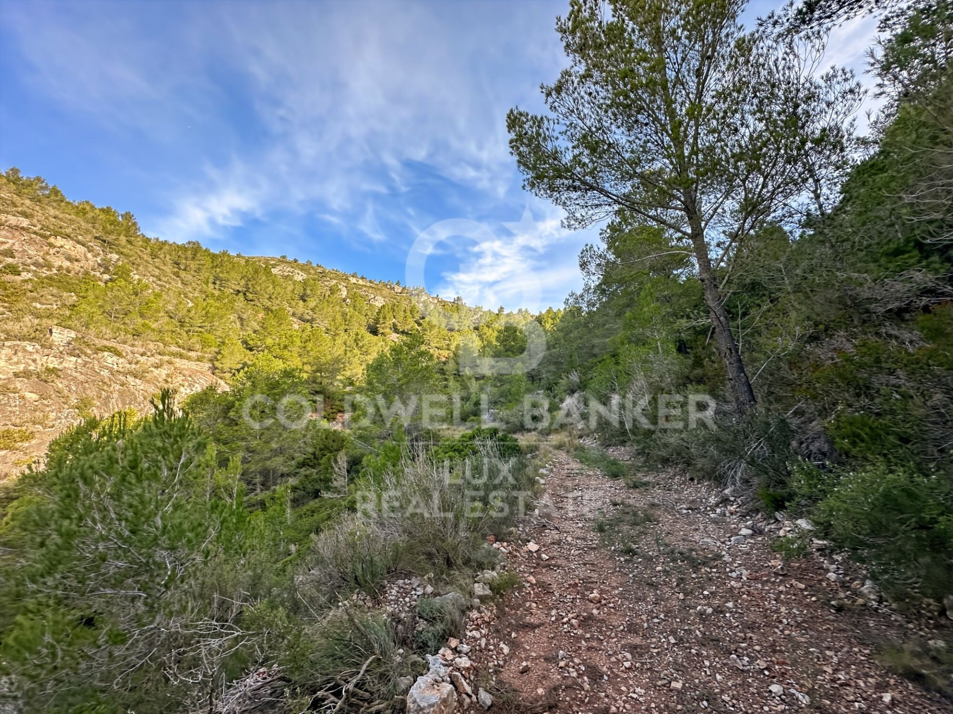 Land plot in Pratdip, Tarragona, Spain 279167 sq.m. No. 157739