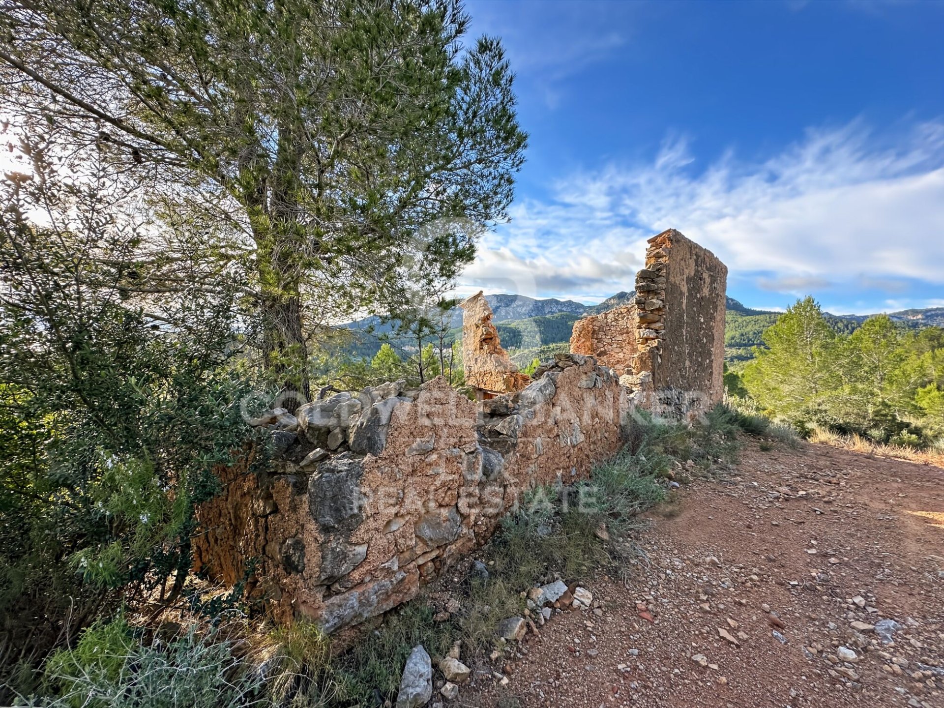 Land plot in Pratdip, Tarragona, Spain 279167 sq.m. No. 157739