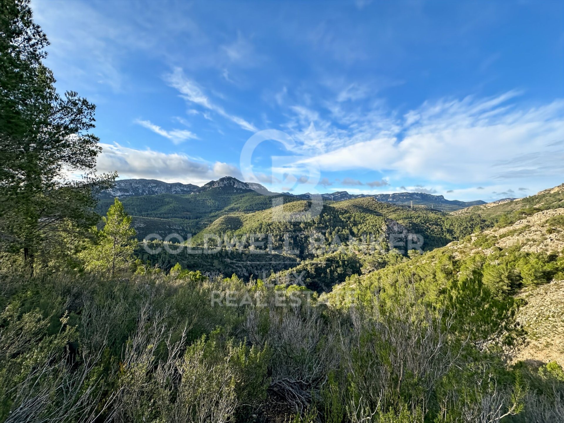 Land plot in Pratdip, Tarragona, Spain 279167 sq.m. No. 157739