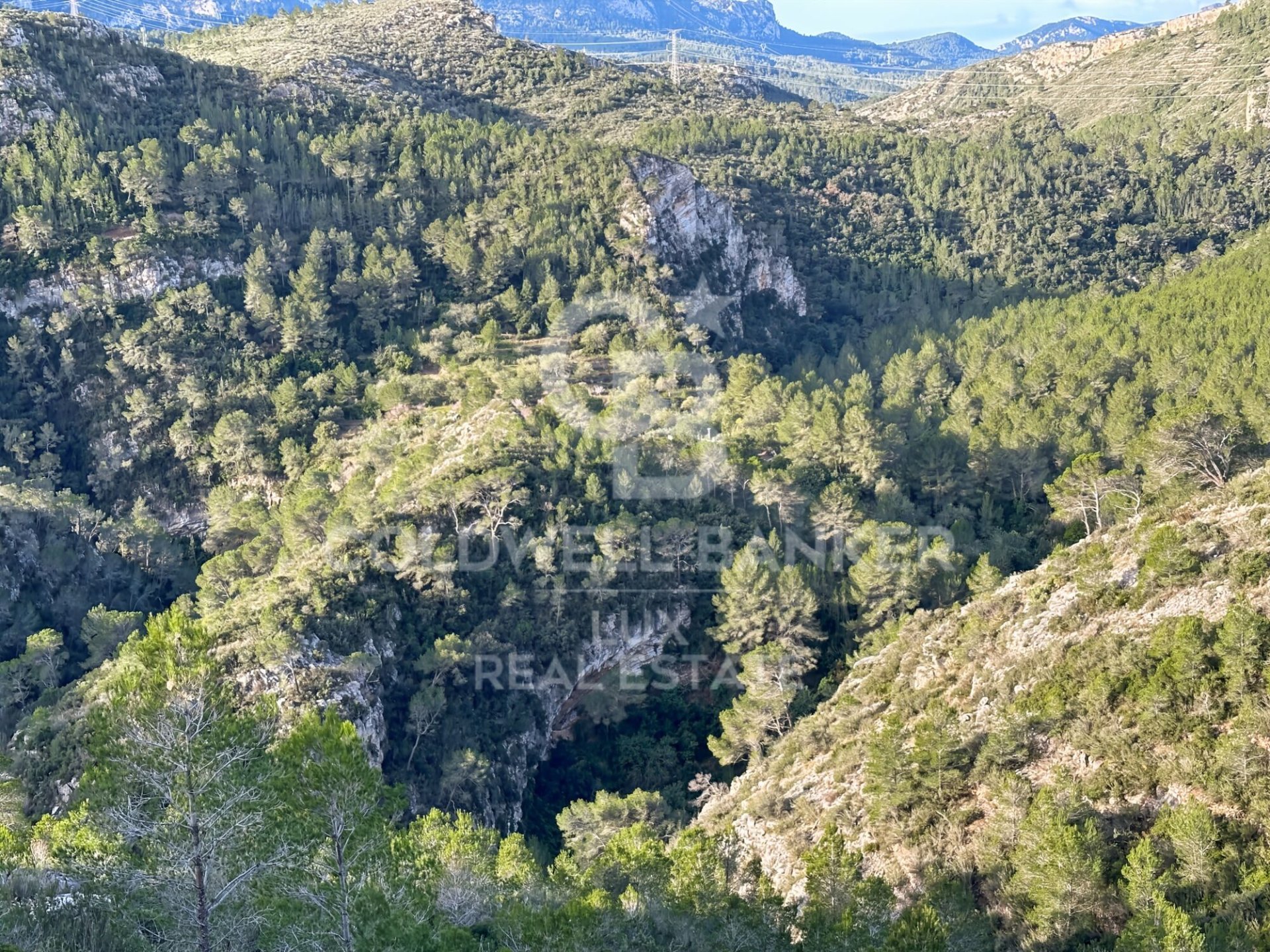 Land plot in Pratdip, Tarragona, Spain 279167 sq.m. No. 157739