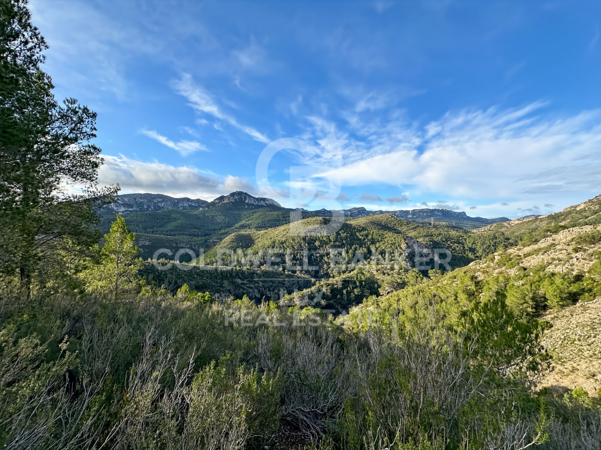 Land plot in Pratdip, Tarragona, Spain 279167 sq.m. No. 157739