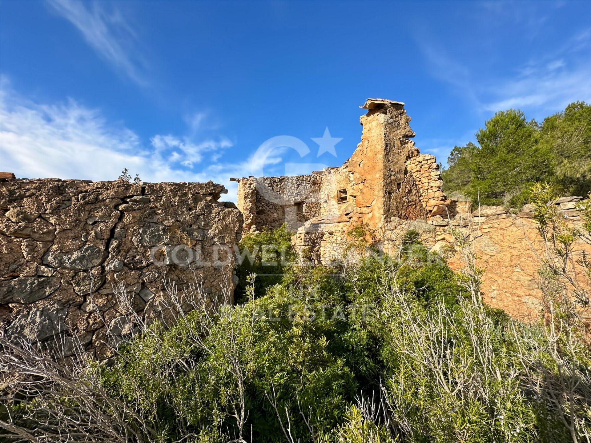 Land plot in Pratdip, Tarragona, Spain 279167 sq.m. No. 157739