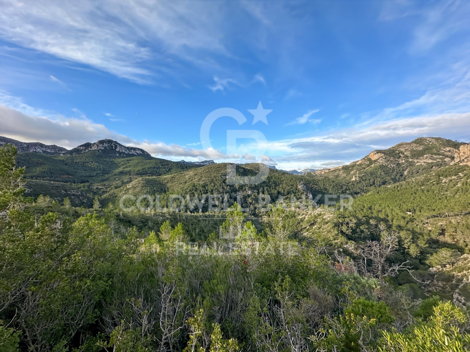 Land plot in Pratdip, Tarragona, Spain 279167 sq.m. No. 157739