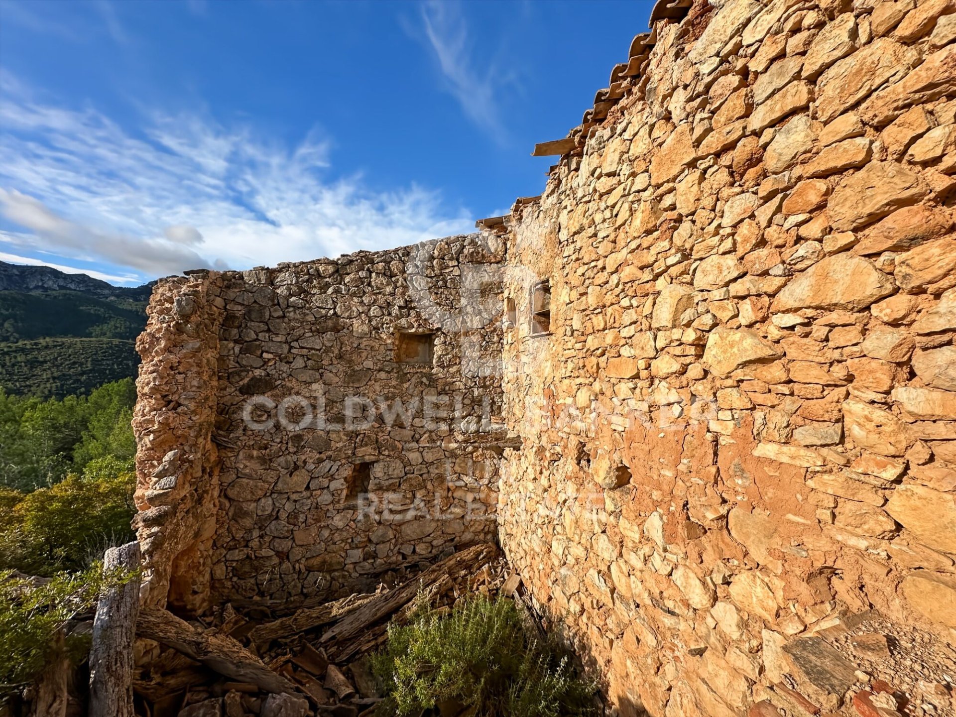 Land plot in Pratdip, Tarragona, Spain 279167 sq.m. No. 157739