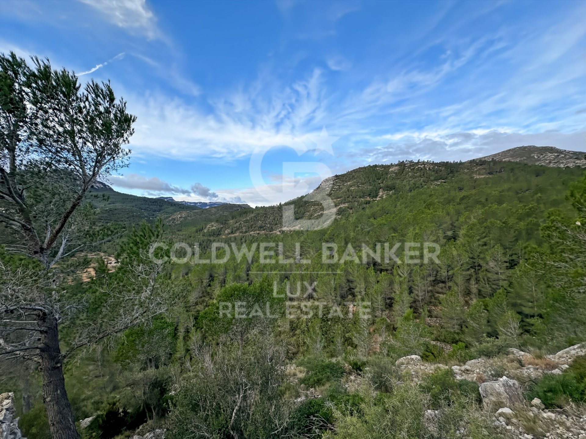Land plot in Pratdip, Tarragona, Spain 279167 sq.m. No. 157739