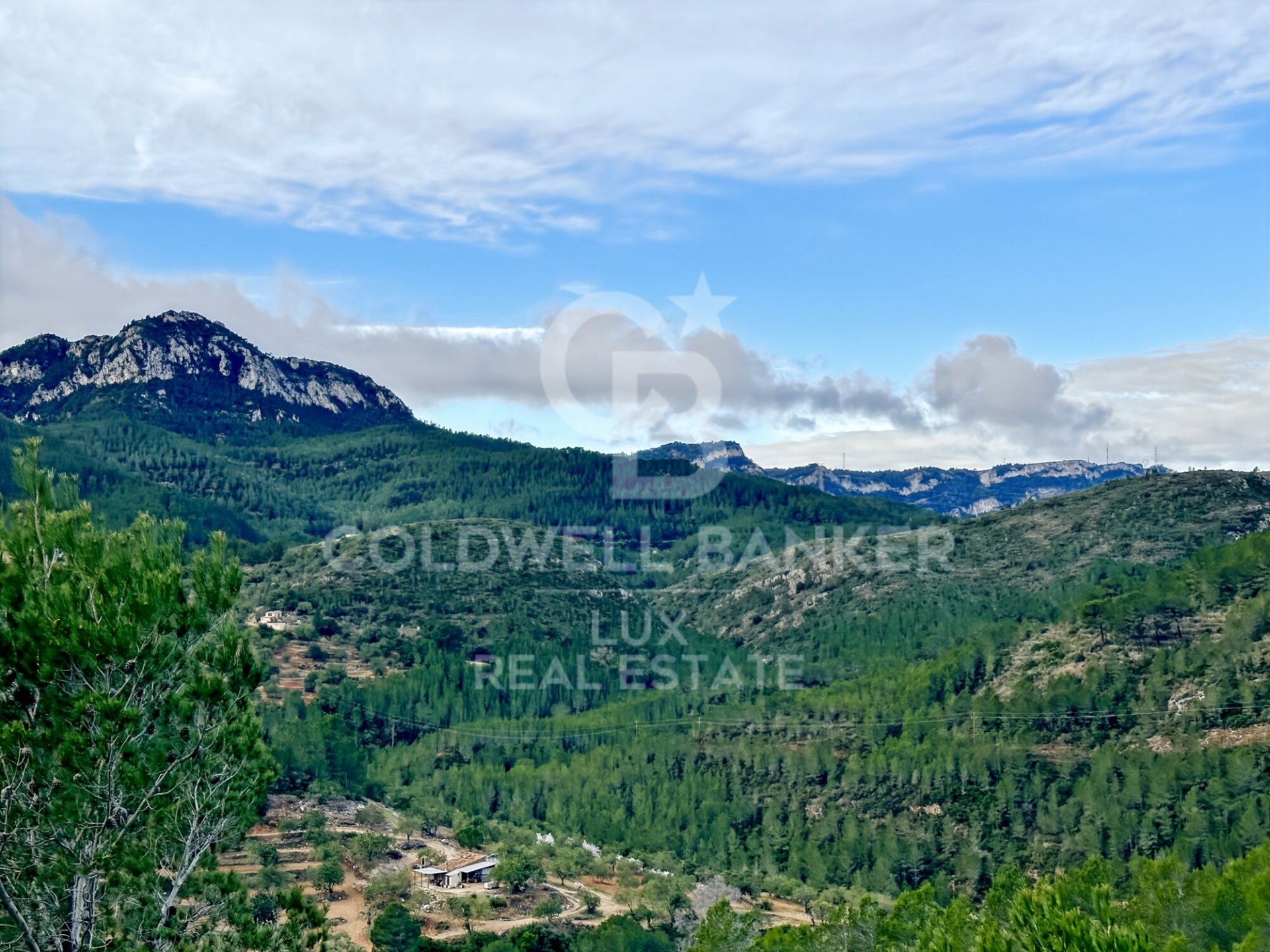 Land plot in Pratdip, Tarragona, Spain 279167 sq.m. No. 157739