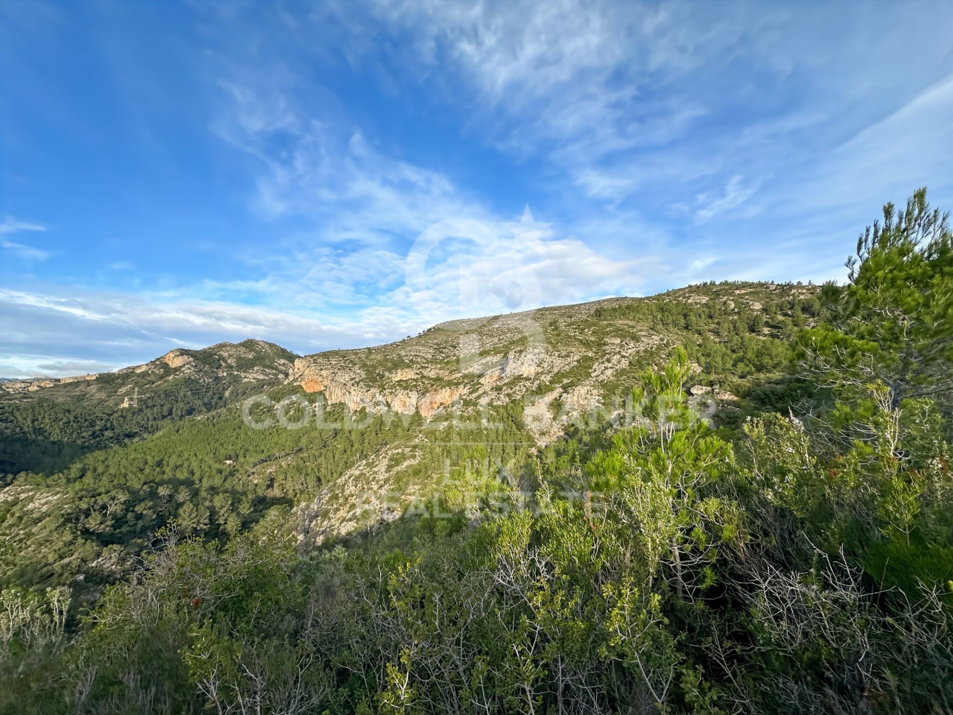 Land plot in Pratdip, Tarragona, Spain 279167 sq.m. No. 157739