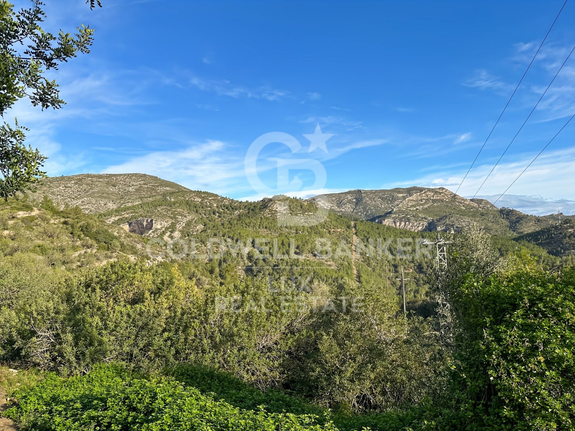 Land plot in Pratdip, Tarragona, Spain 279167 sq.m. No. 157739