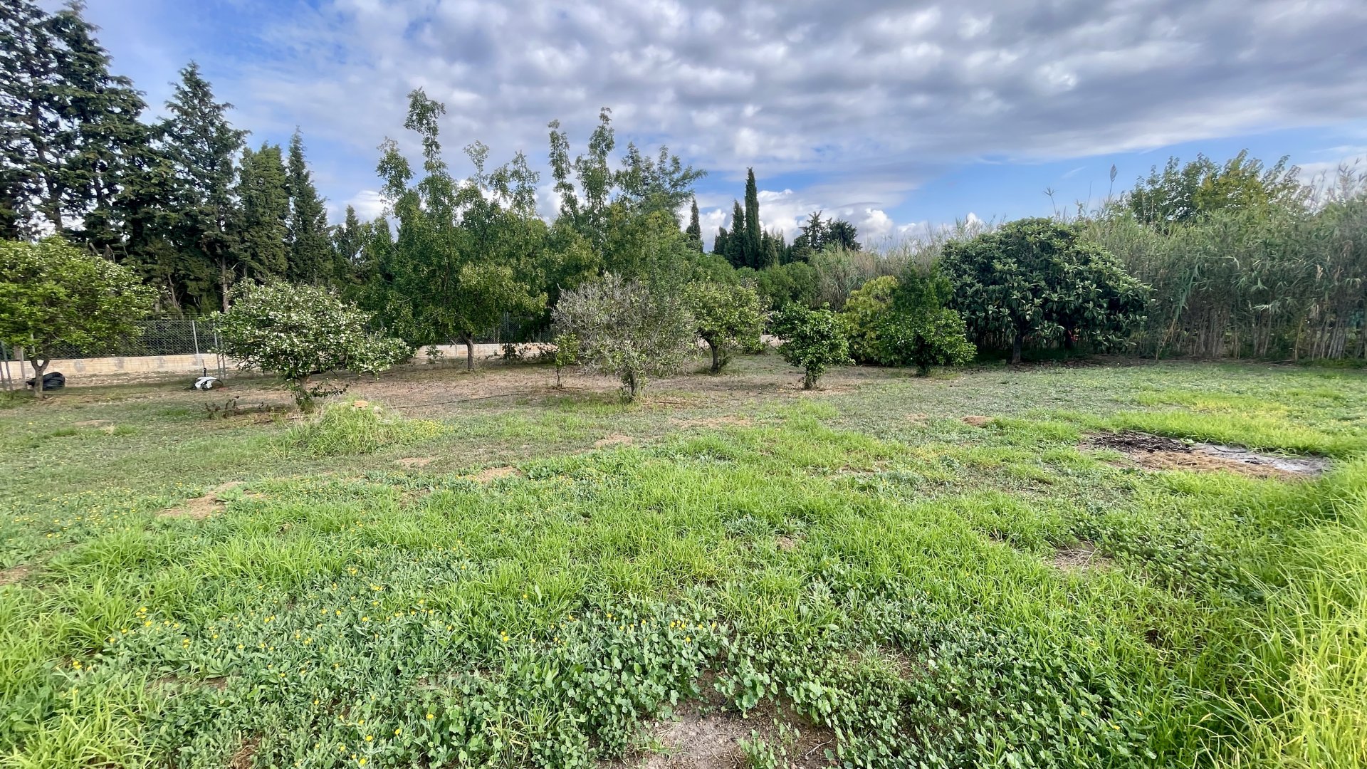 Villa in Establiments, Mallorca, Spanien 3 Schlafzimmer, 226 m2 Nr. 139222