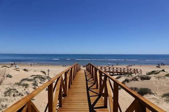 Dom w Torrevieja, Alicante, Hiszpania 2 sypialnie, 65 mkw. nr 168395