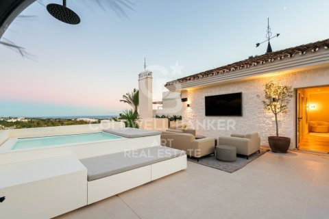 Kattohuoneisto Marbella, Malaga, Espanja 3 makuuhuonetta, 183 m2 No. 156729