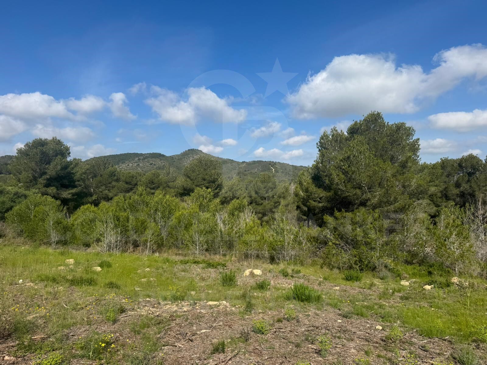 Działka w Javea, Alicante, Hiszpania 1500 mkw. nr 156727