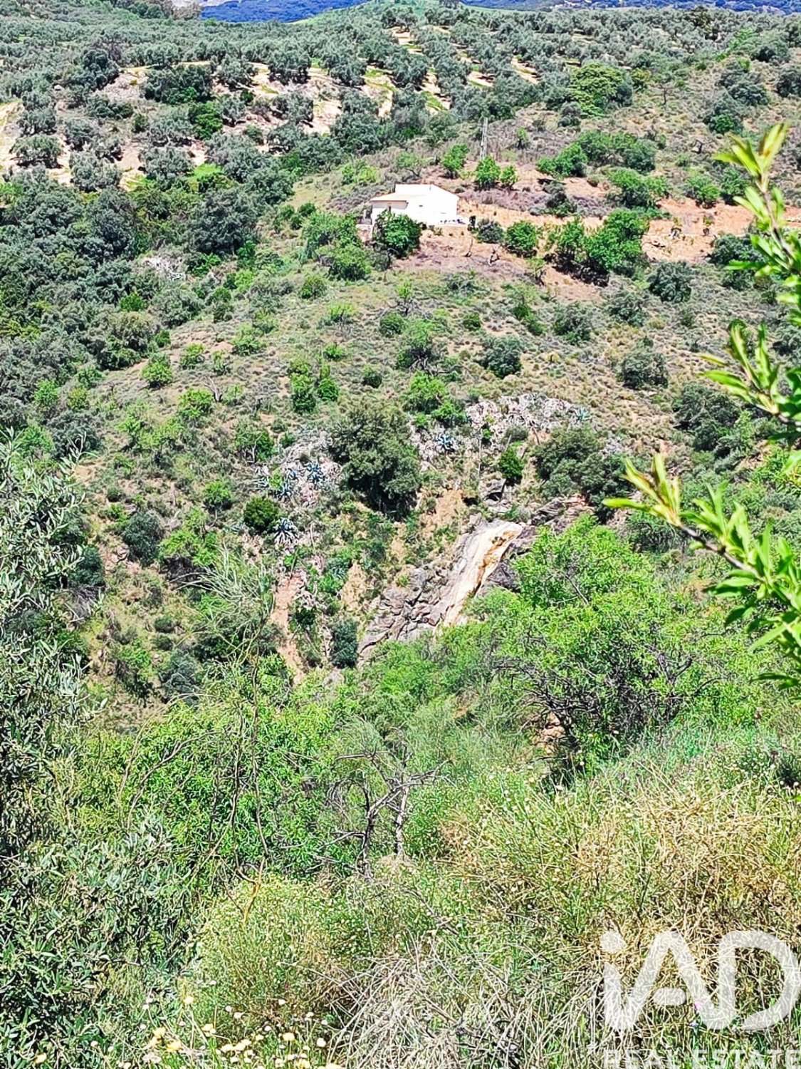Terreno a Colmenar, Malaga, Spagna 23449 mq. N° 184904