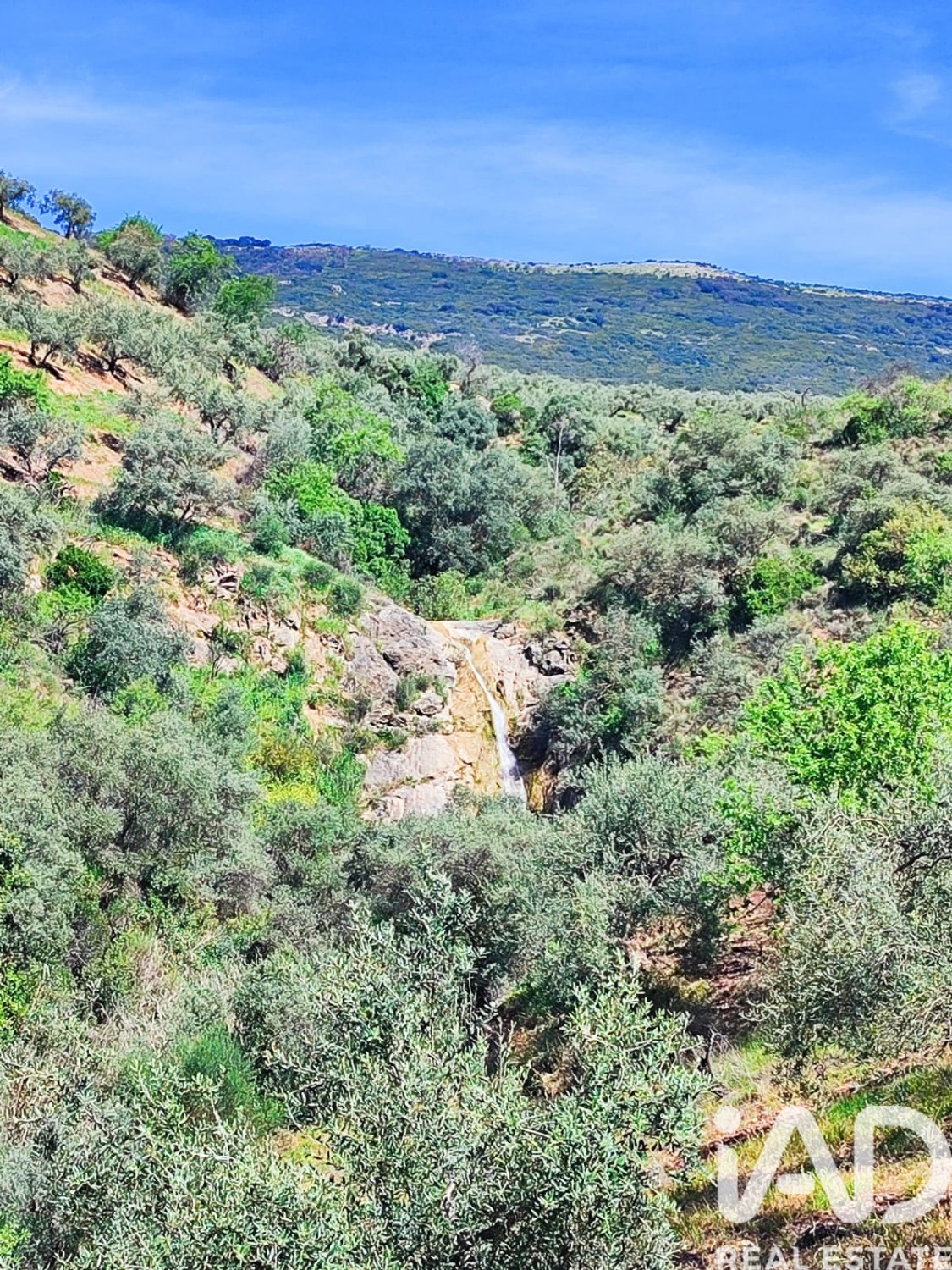 Terreno a Colmenar, Malaga, Spagna 23449 mq. N° 184904