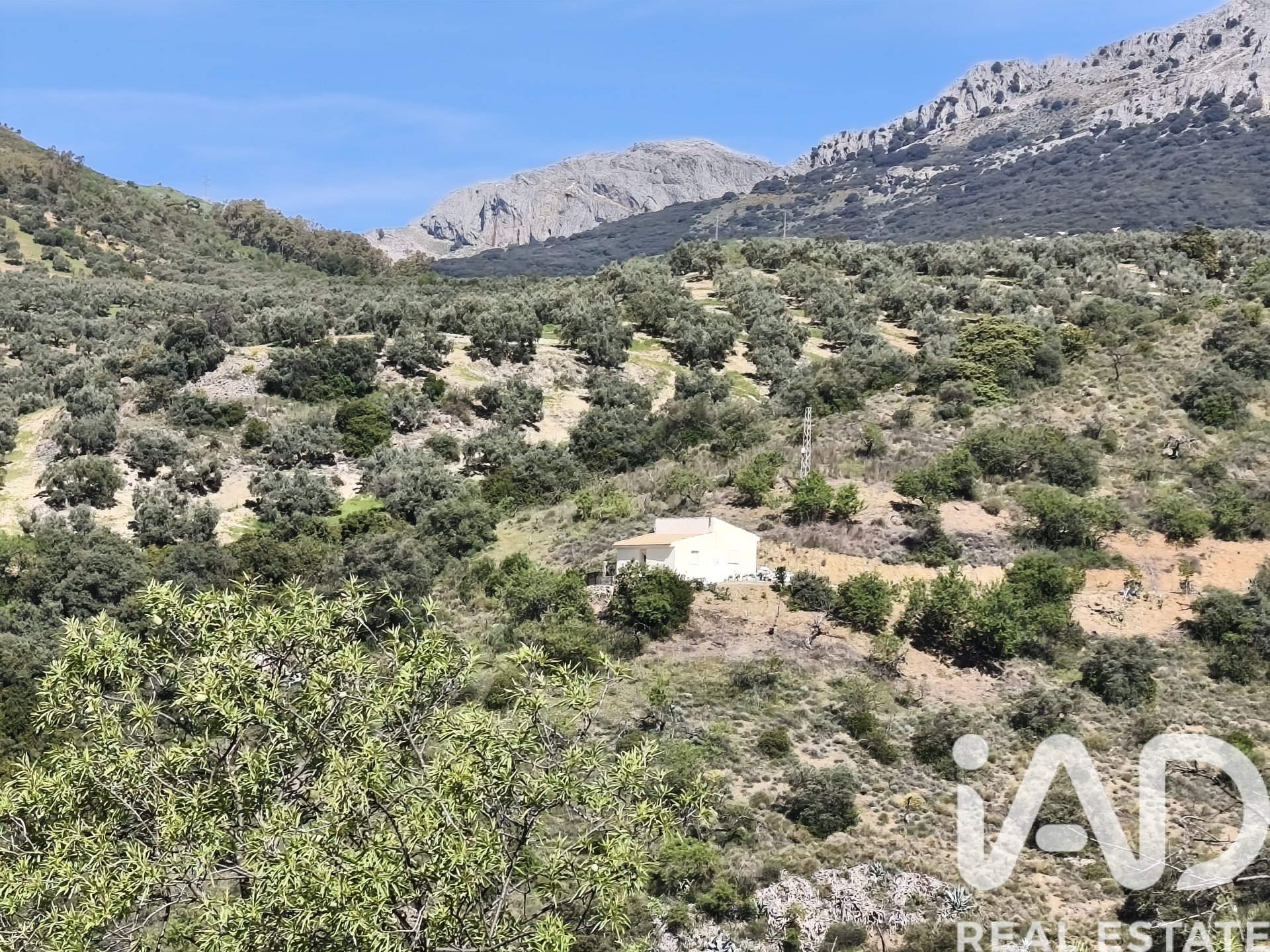 Terreno a Colmenar, Malaga, Spagna 23449 mq. N° 184904