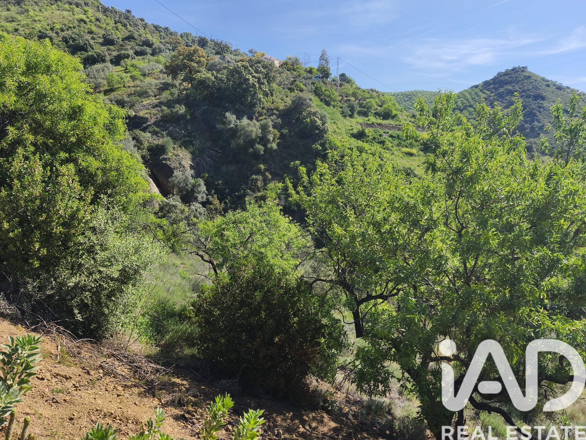 Terreno a Colmenar, Malaga, Spagna 23449 mq. N° 184904