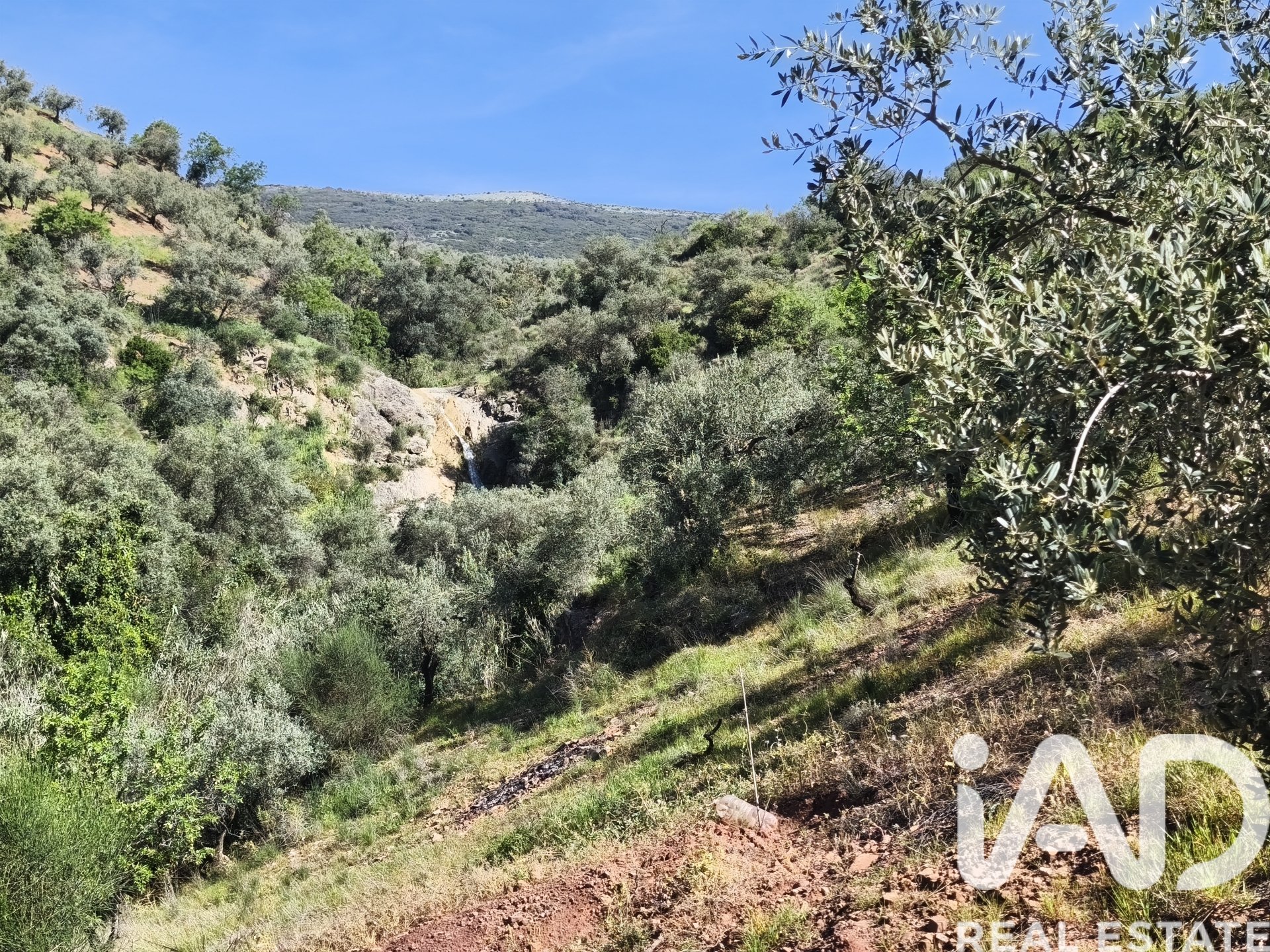 Terreno a Colmenar, Malaga, Spagna 23449 mq. N° 184904