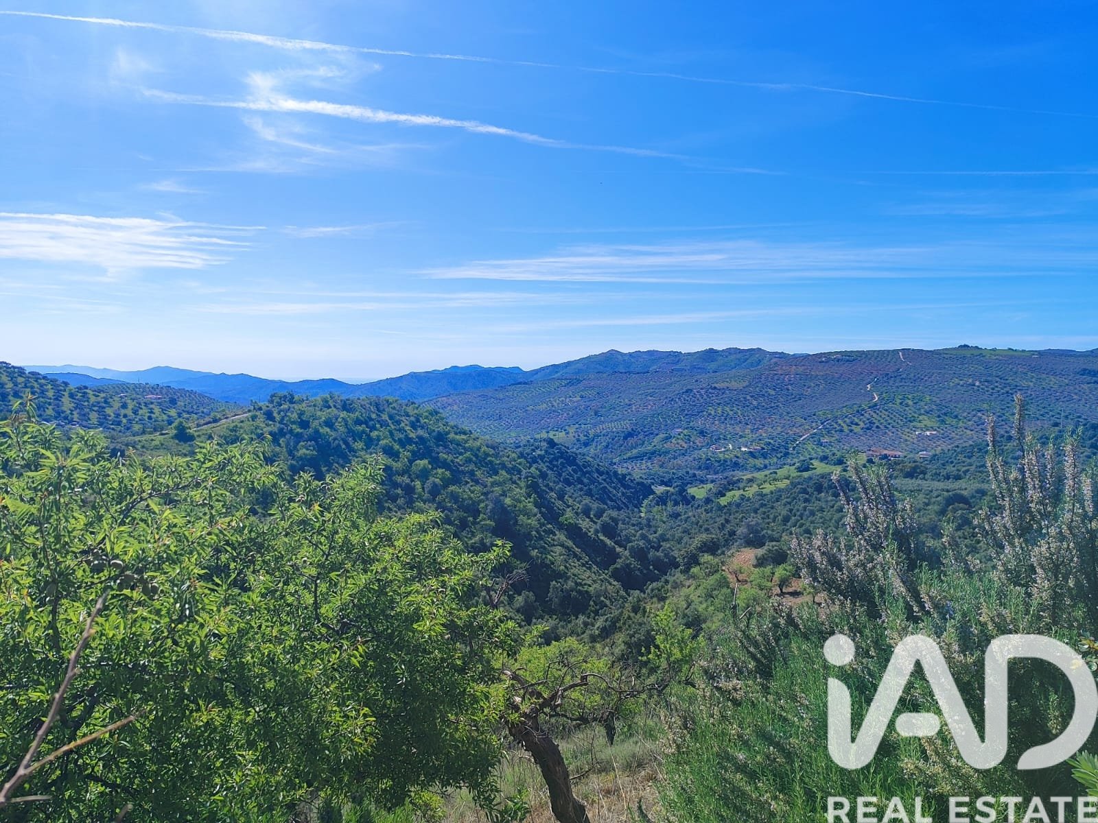 Terreno a Colmenar, Malaga, Spagna 23449 mq. N° 184904