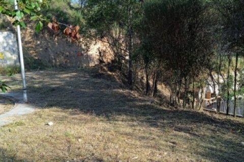Parcela en Castellar del Vallès, Barcelona, España 803 m2 No. 184902