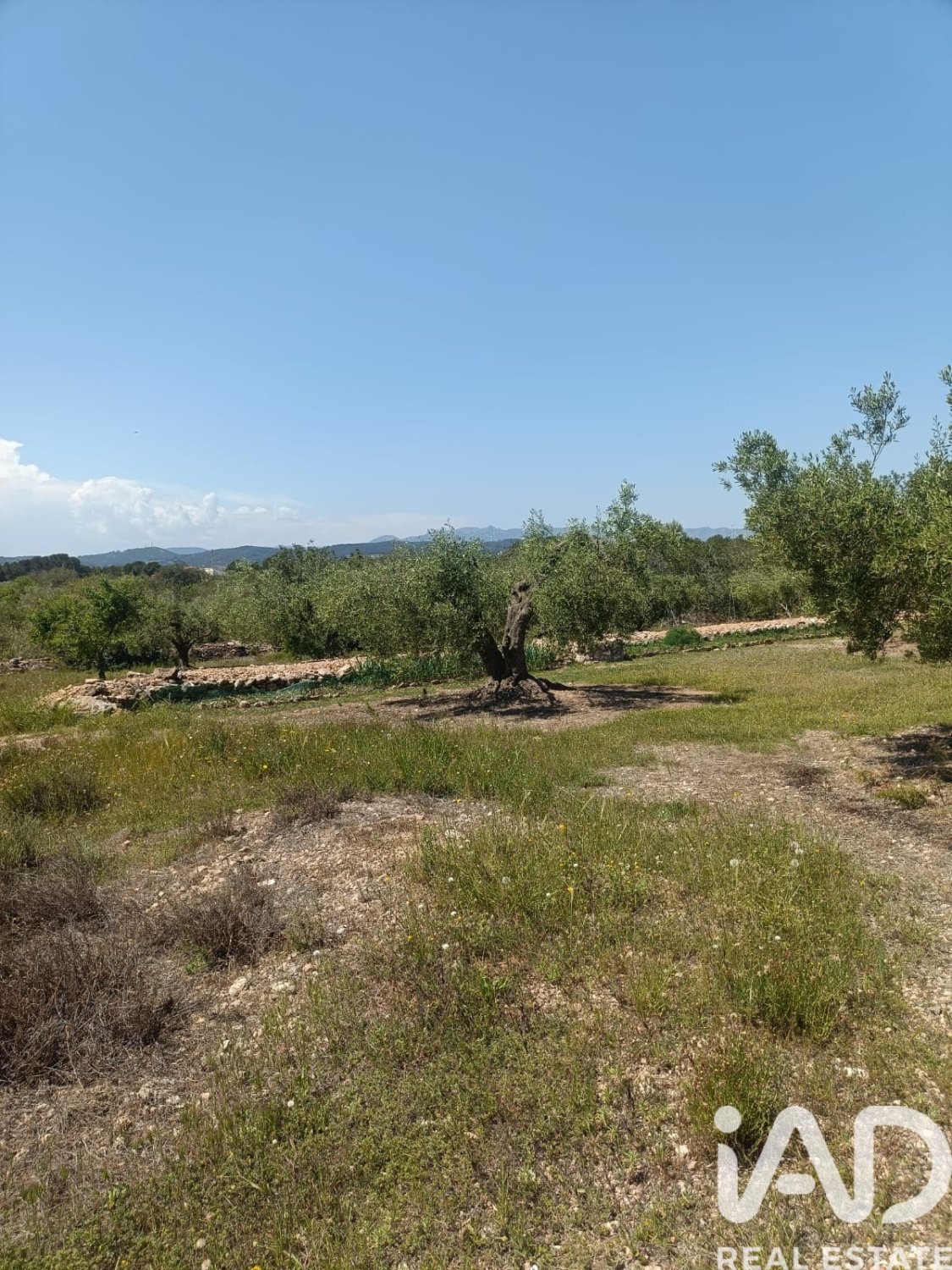 Terreno a L'Ametlla de Mar, Tarragona, Spagna 12172 mq. N° 184907