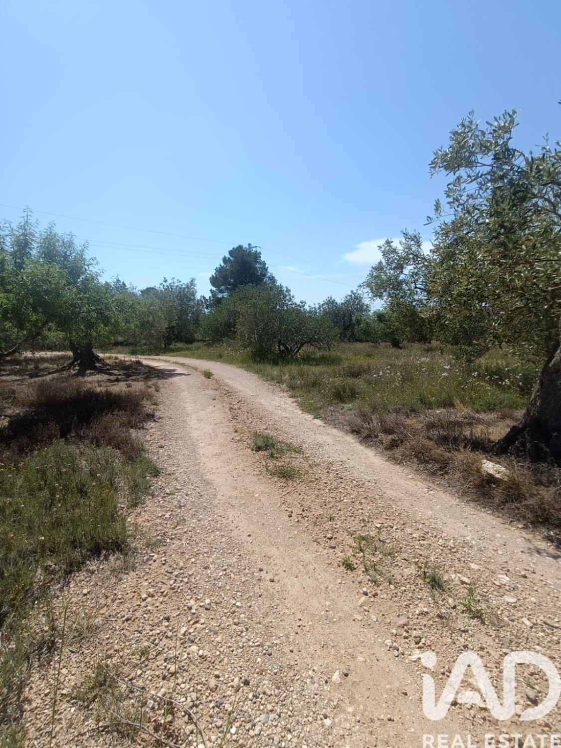 Terreno a L'Ametlla de Mar, Tarragona, Spagna 12172 mq. N° 184907