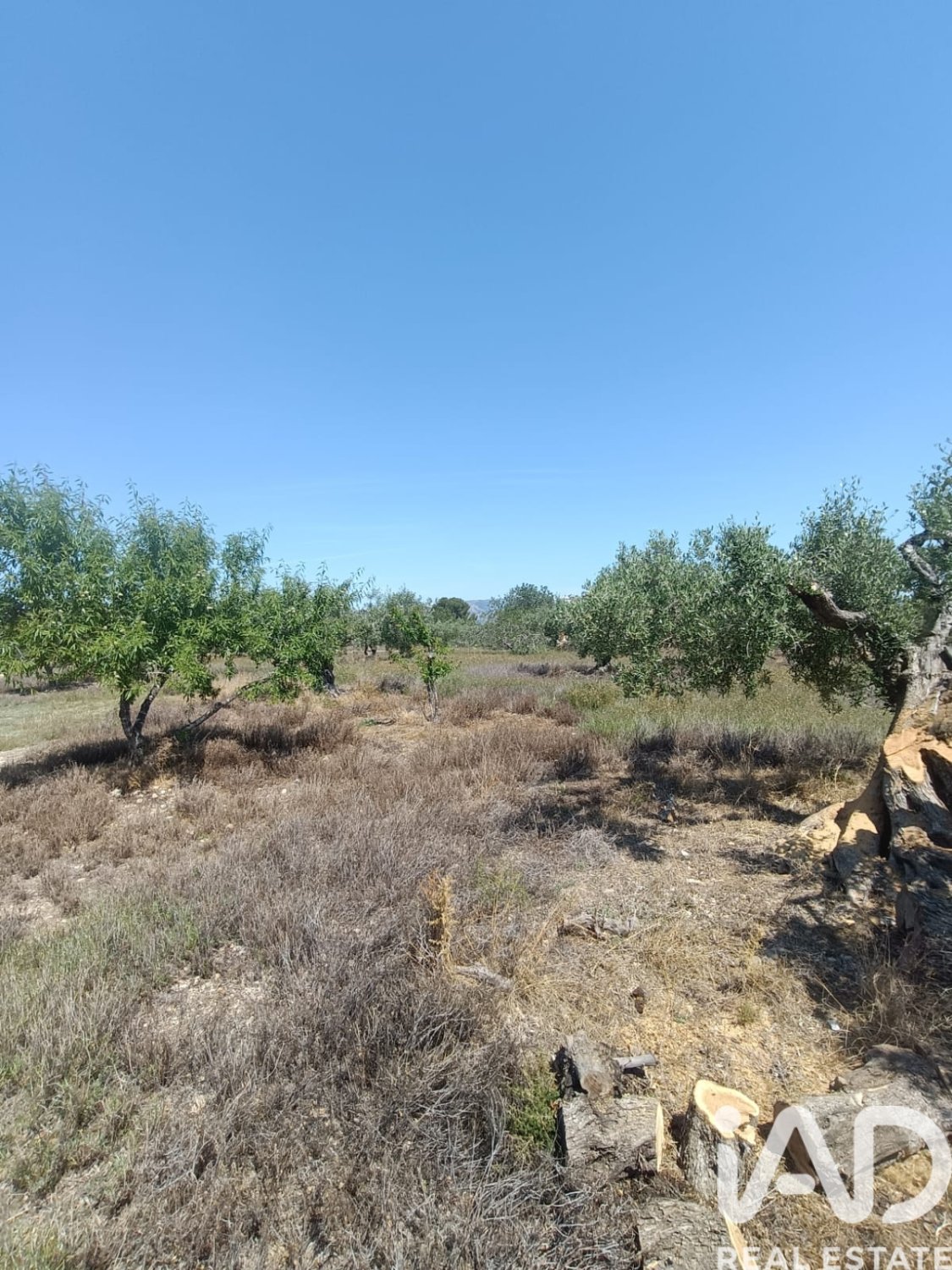 Terreno a L'Ametlla de Mar, Tarragona, Spagna 12172 mq. N° 184907