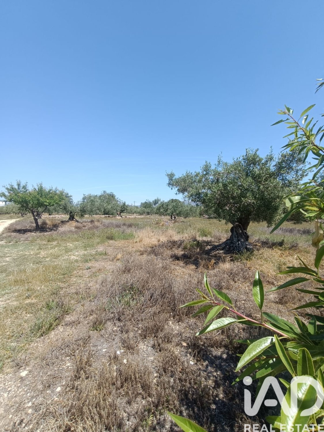 Terreno a L'Ametlla de Mar, Tarragona, Spagna 12172 mq. N° 184907