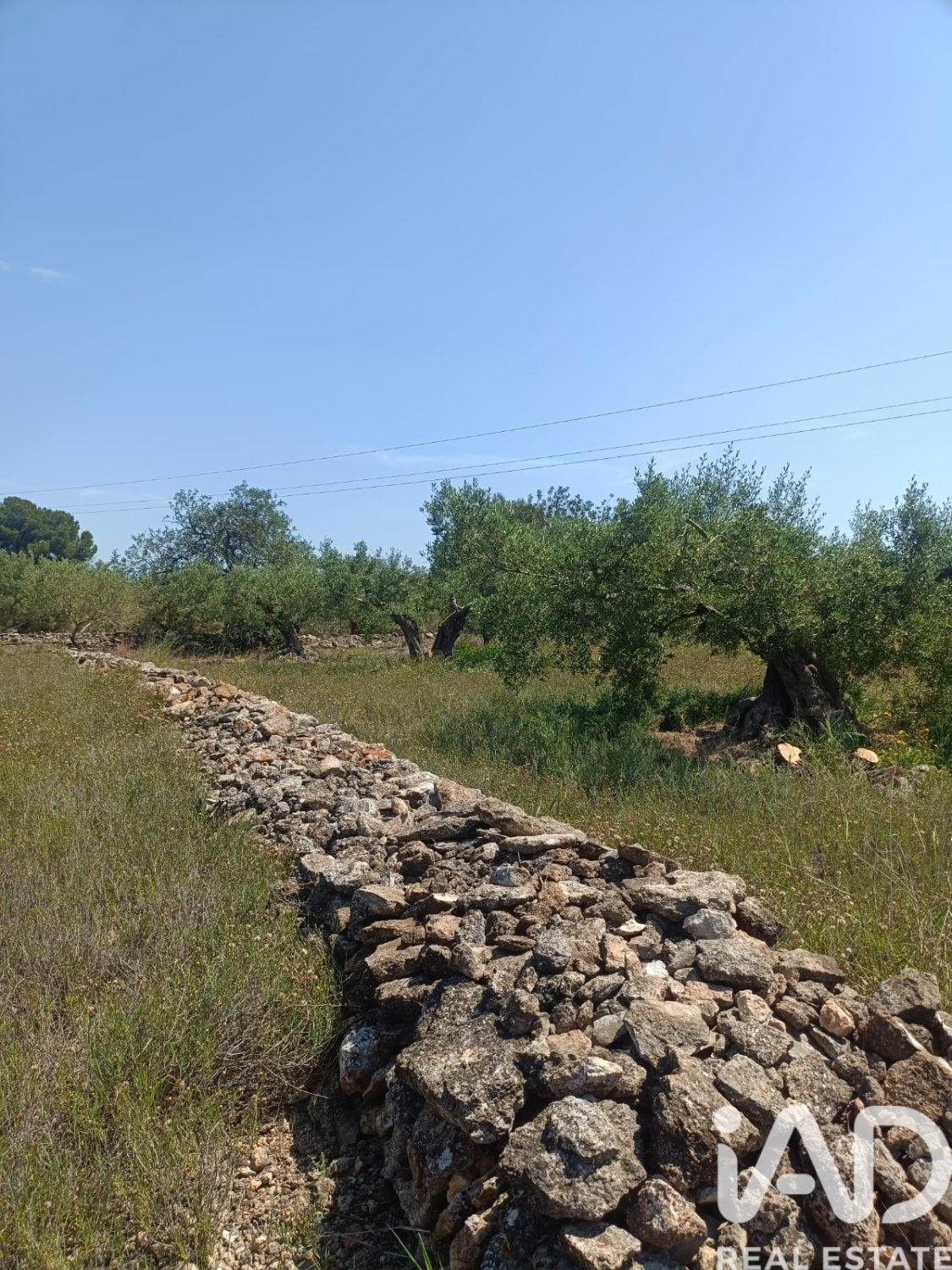 Terreno a L'Ametlla de Mar, Tarragona, Spagna 12172 mq. N° 184907