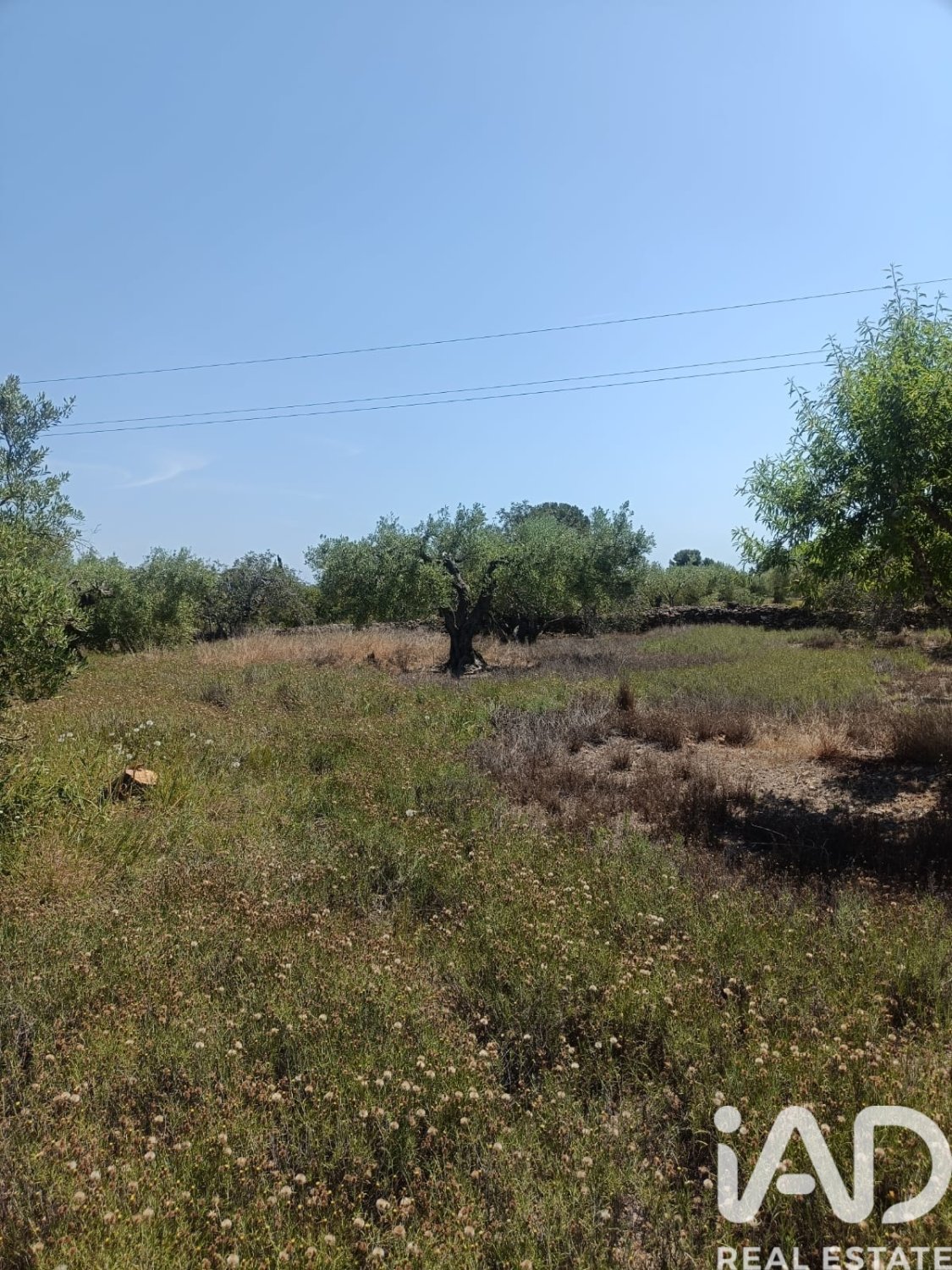 Terreno a L'Ametlla de Mar, Tarragona, Spagna 12172 mq. N° 184907