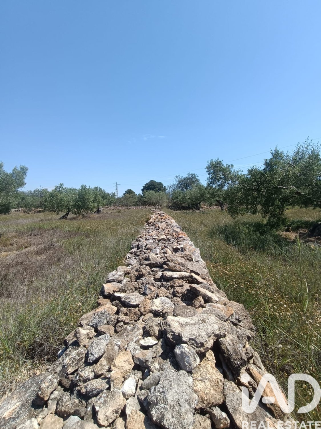 Terreno a L'Ametlla de Mar, Tarragona, Spagna 12172 mq. N° 184907