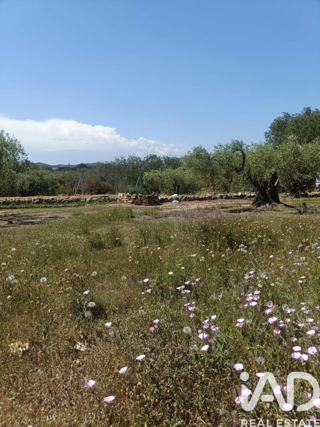 Terreno a L'Ametlla de Mar, Tarragona, Spagna 12172 mq. N° 184907