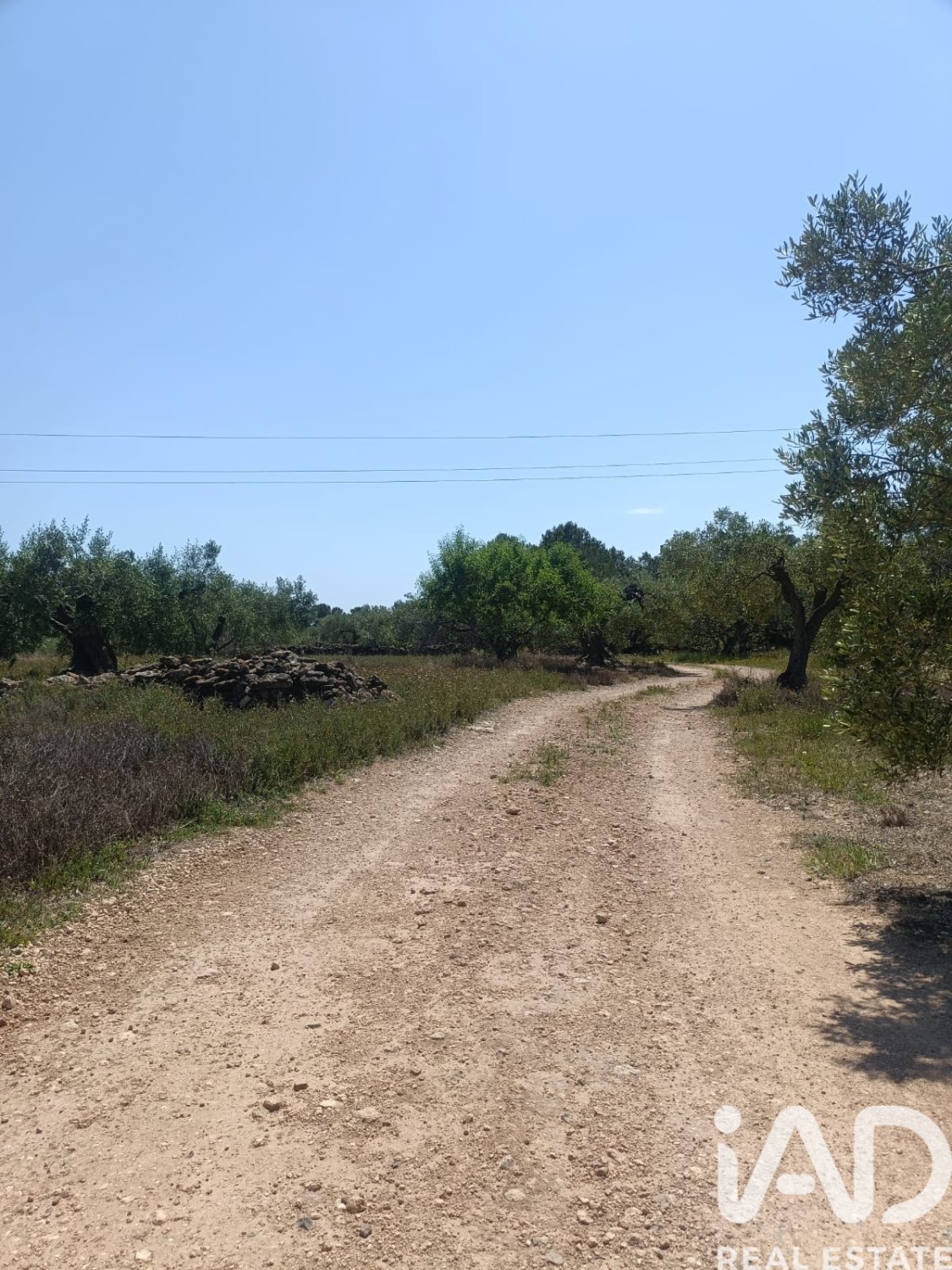Terreno a L'Ametlla de Mar, Tarragona, Spagna 12172 mq. N° 184907