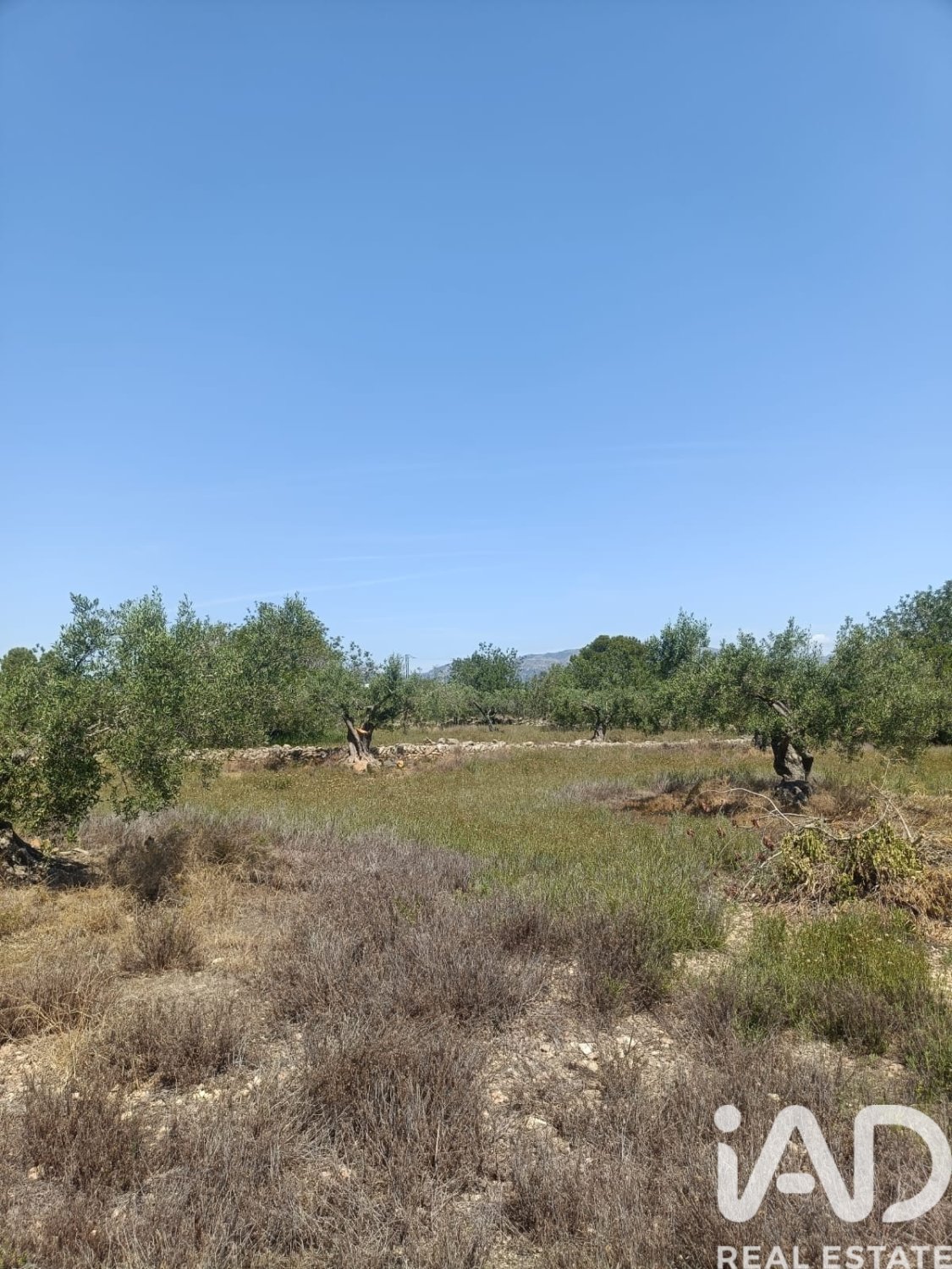 Terreno a L'Ametlla de Mar, Tarragona, Spagna 12172 mq. N° 184907