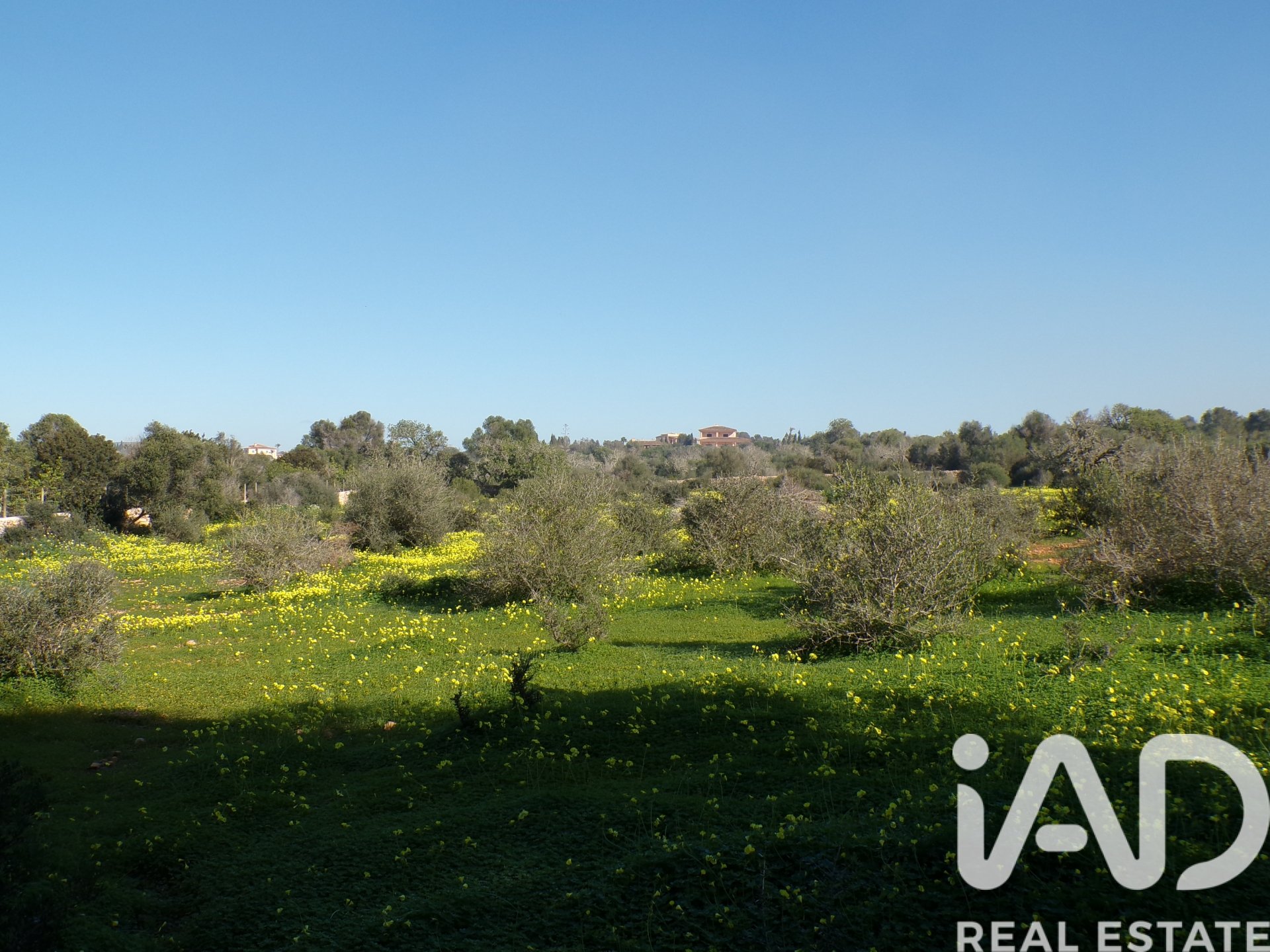 Māja Santanyi, Mallorca, Spānijā 6 istabas, 320 m2 Nr. 172264